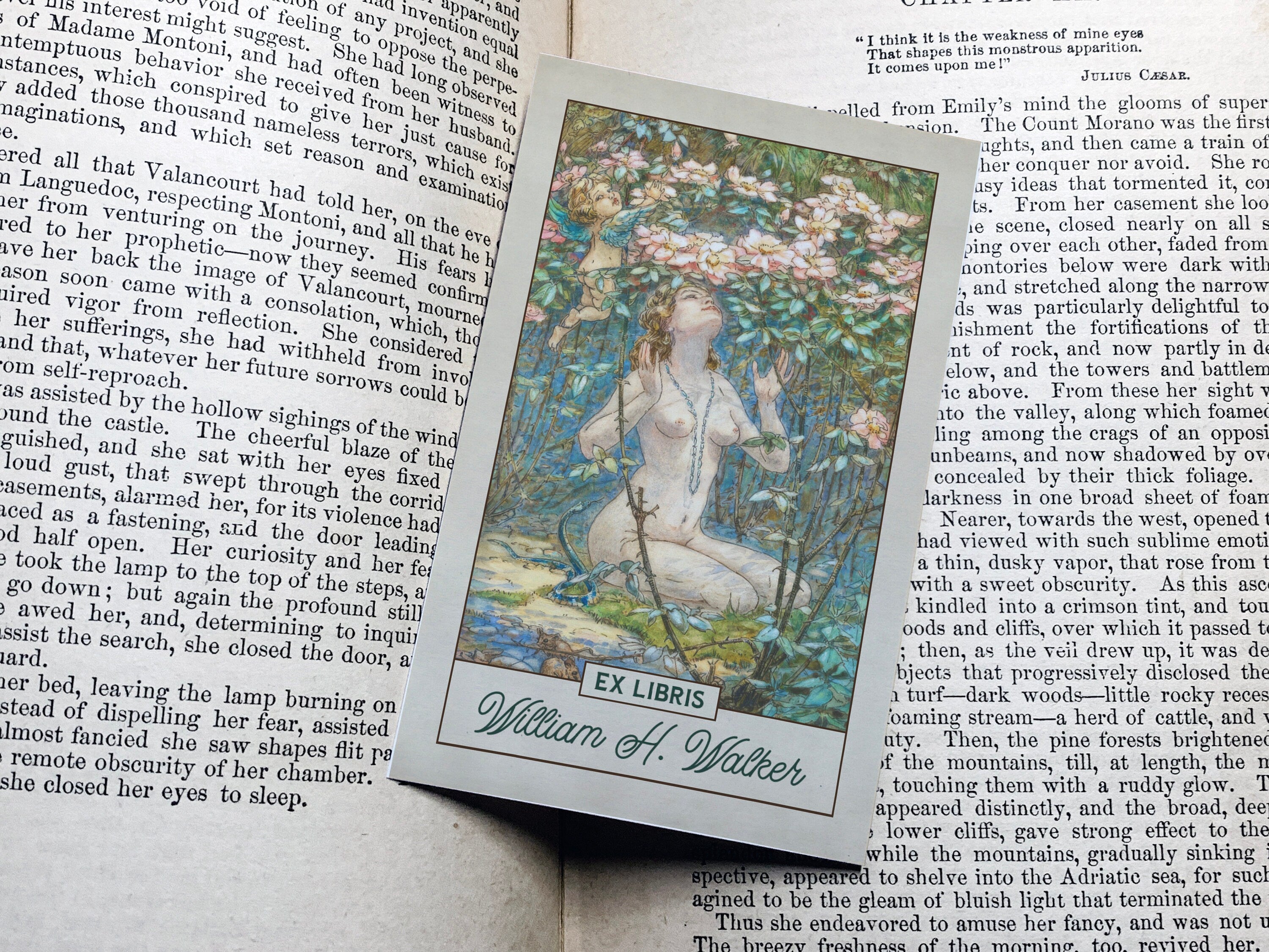 Fairy Bower, Personalized Ex-Libris Bookplates, Crafted on Traditional Gummed Paper, 2.5in x 4in, Set of 30