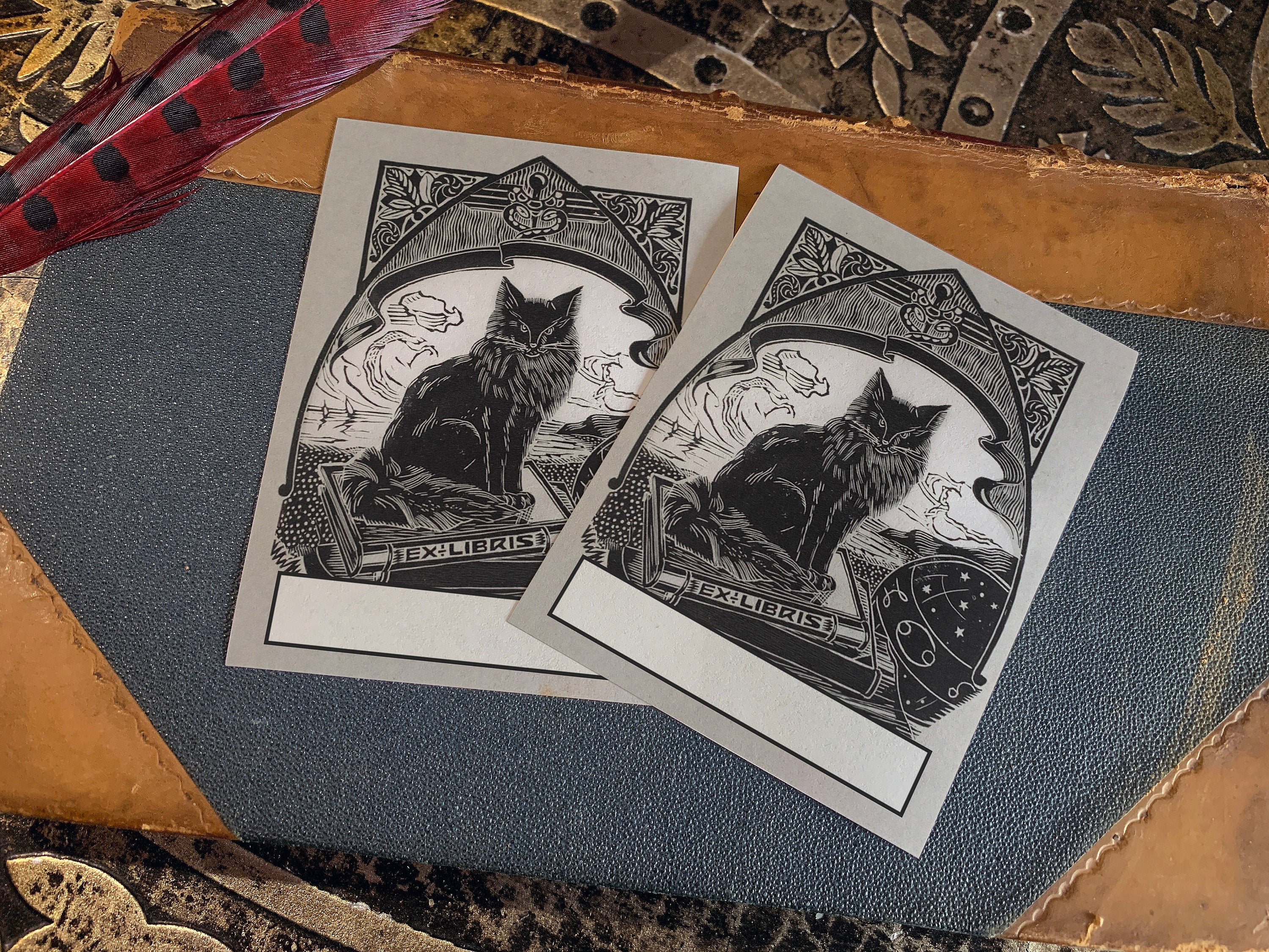 Mysterious Black Cat, Personalized Dark Academia Ex-Libris Bookplates, Crafted on Traditional Gummed Paper, 3in x 4in, Set of 30