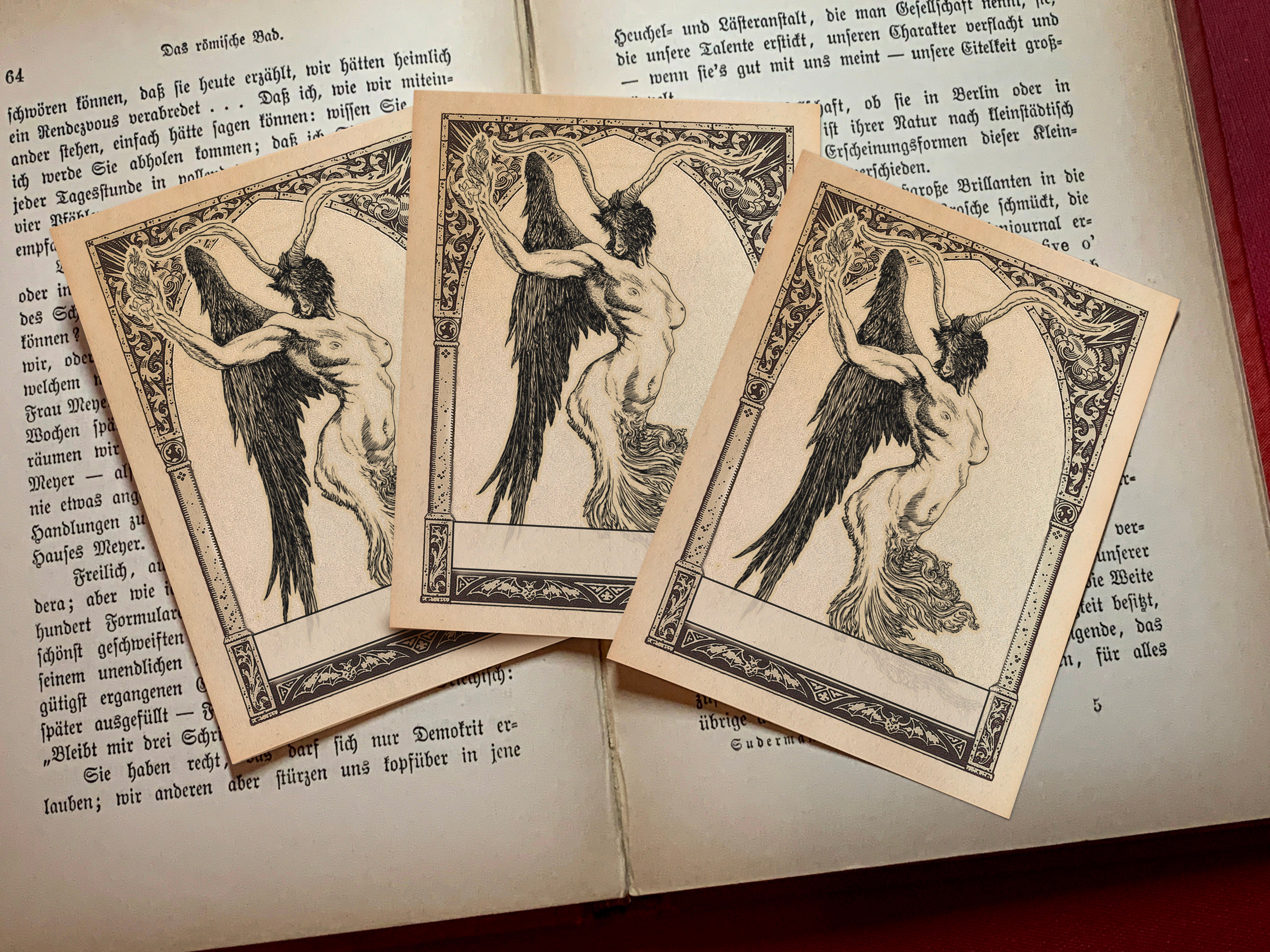 Diabolus Grotesque, Dark Academia Personalized Ex-Libris Bookplates, Crafted on Traditional Gummed Paper, 3in x 4in, Set of 30