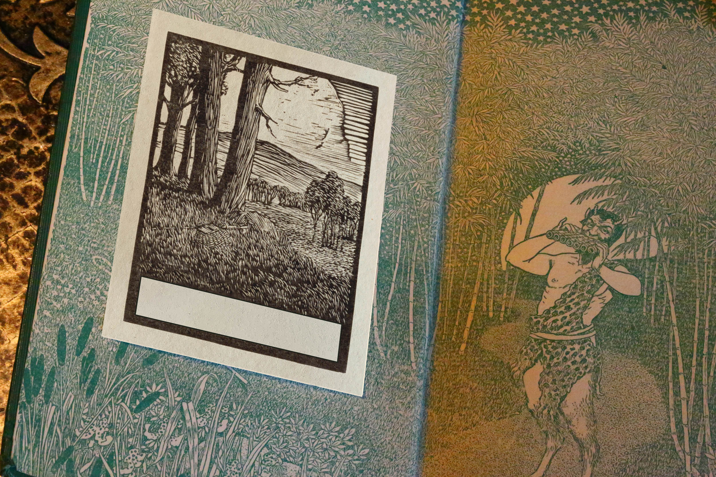 Forest Edge, Personalized Ex-Libris Bookplates, Crafted on Traditional Gummed Paper, 3in x 4in, Set of 30