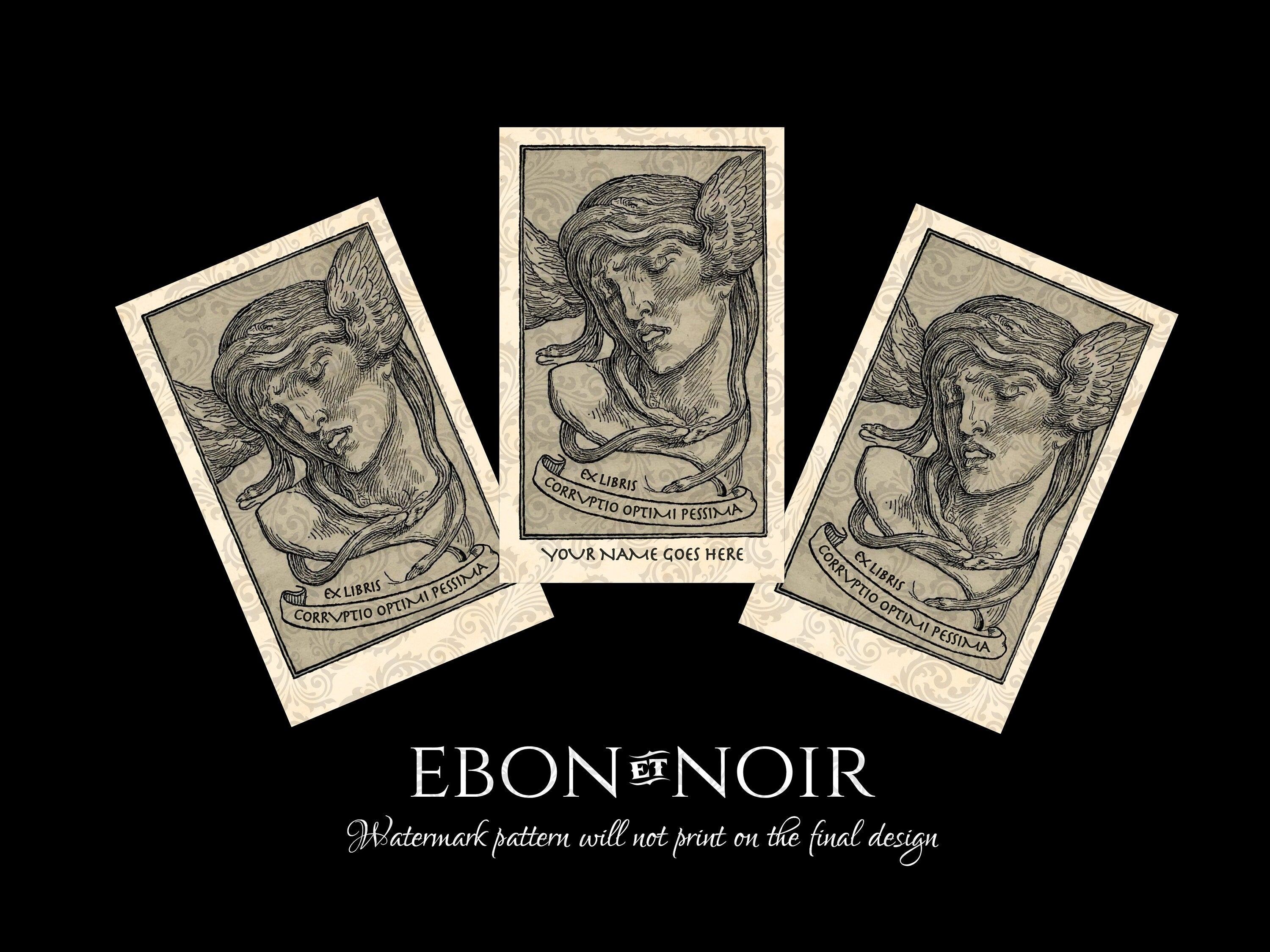Medusa's Triumph, Mythological, Personalized Ex-Libris Bookplates, Crafted on Traditional Gummed Paper, 2.5in x 4in, Set of 30