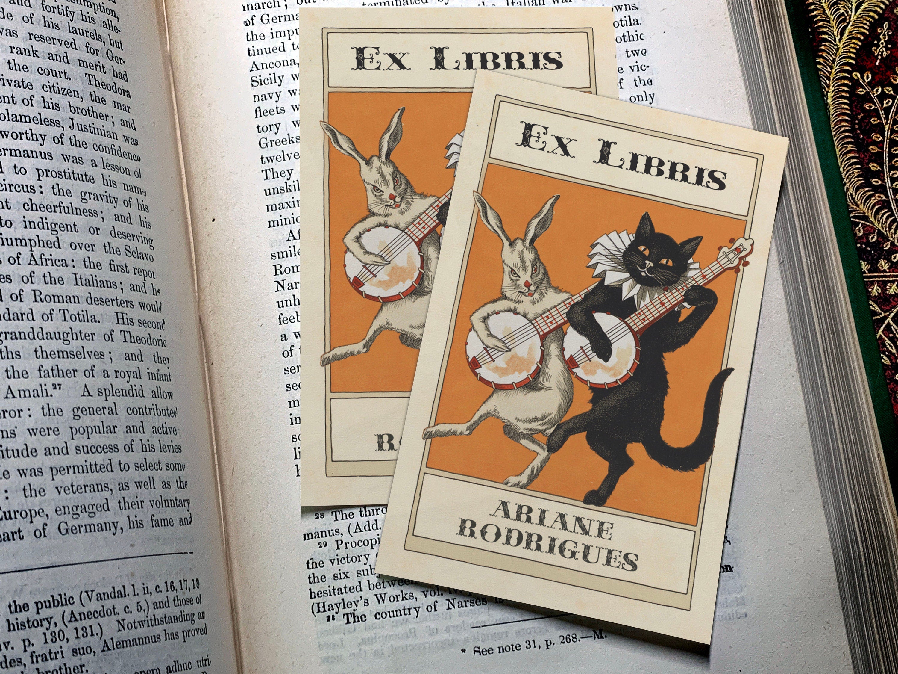 Banjo Cat and Rabbit, Personalized Ex-Libris Bookplates, Crafted on Traditional Gummed Paper, 2.5in x 4in, Set of 30