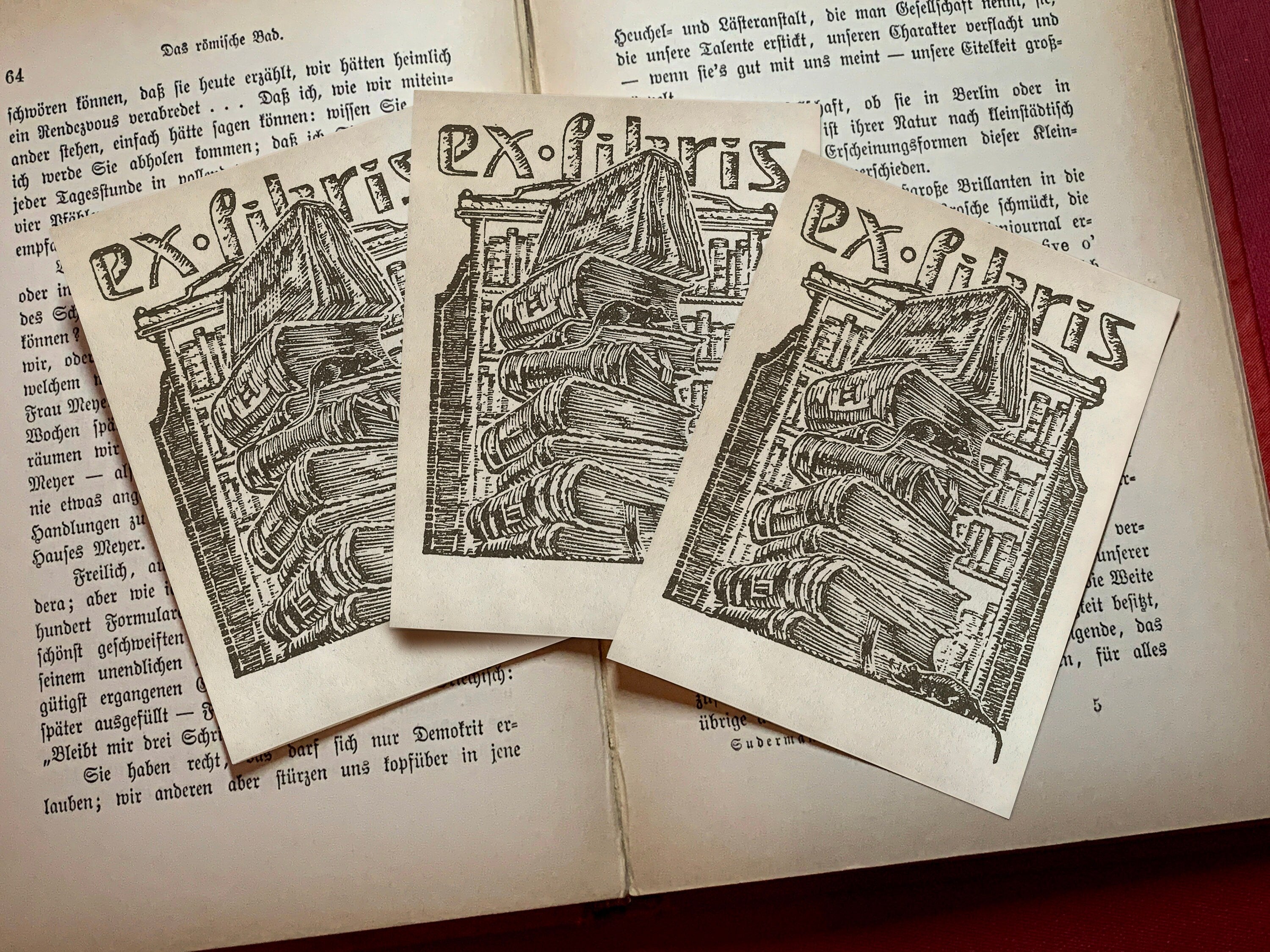 Wizard's Library, Personalized Ex-Libris Bookplates, Crafted on Traditional Gummed Paper, 3in x 4in, Set of 30