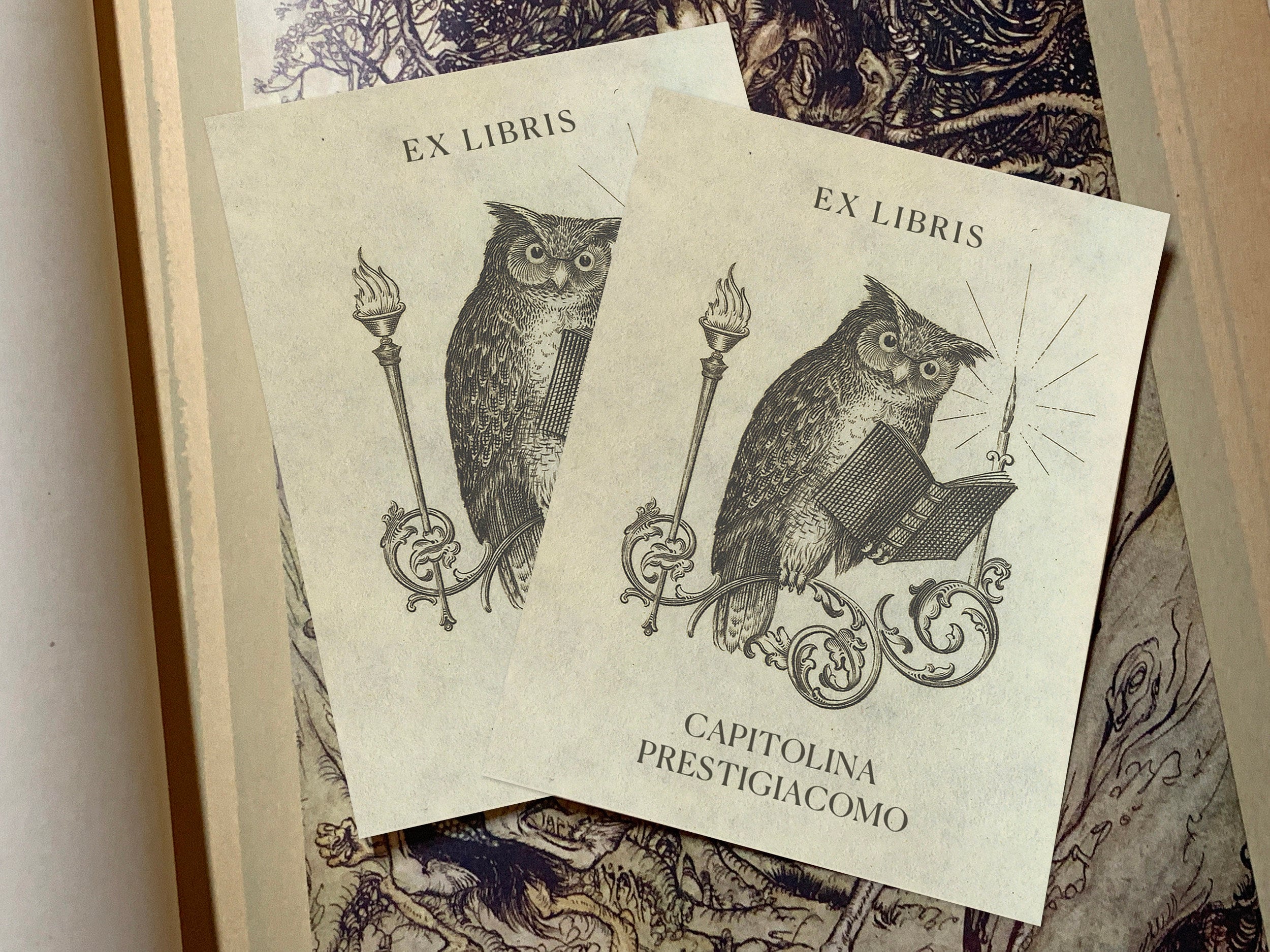 Perched Owl, Personalized Owl Ex-Libris Bookplates, Crafted on Traditional Gummed Paper, 3in x 4in, Set of 30