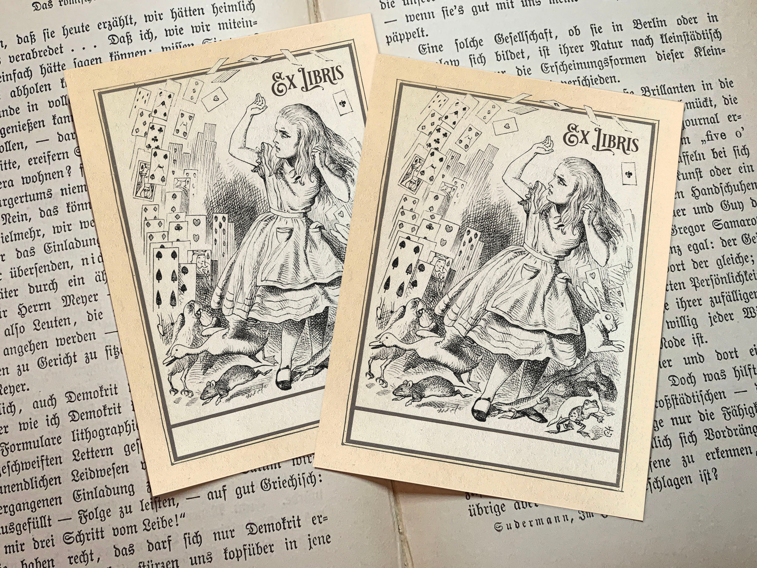 Flying Cards, Alice in Wonderland, Personalized Ex-Libris Bookplates, Crafted on Traditional Gummed Paper, 3in x 4in, Set of 30