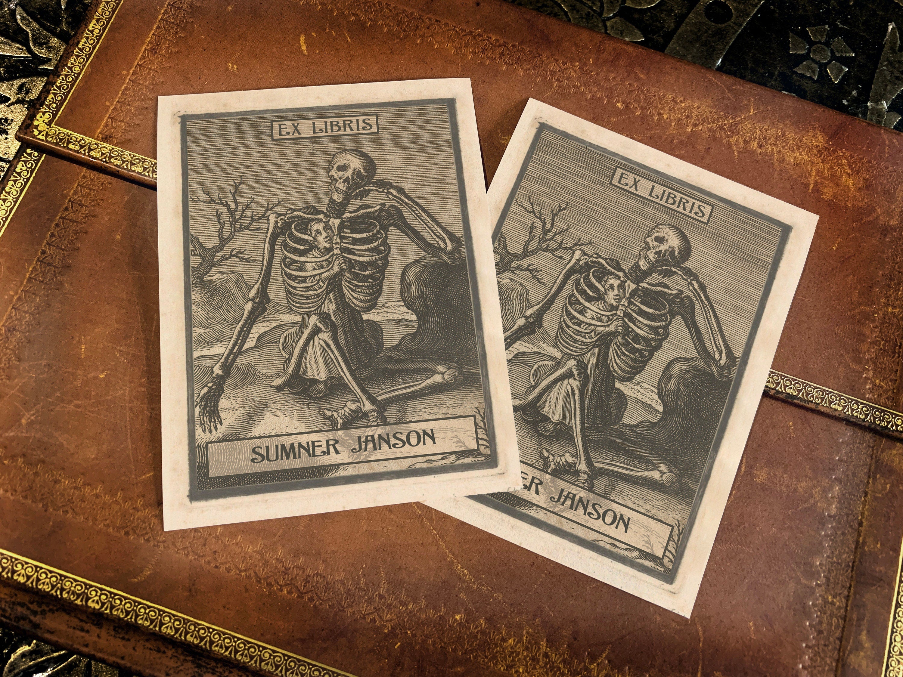 This Mortal Coil, Personalized Dark Academia Ex-Libris Bookplates, Crafted on Traditional Gummed Paper, 3in x 4in, Set of 30