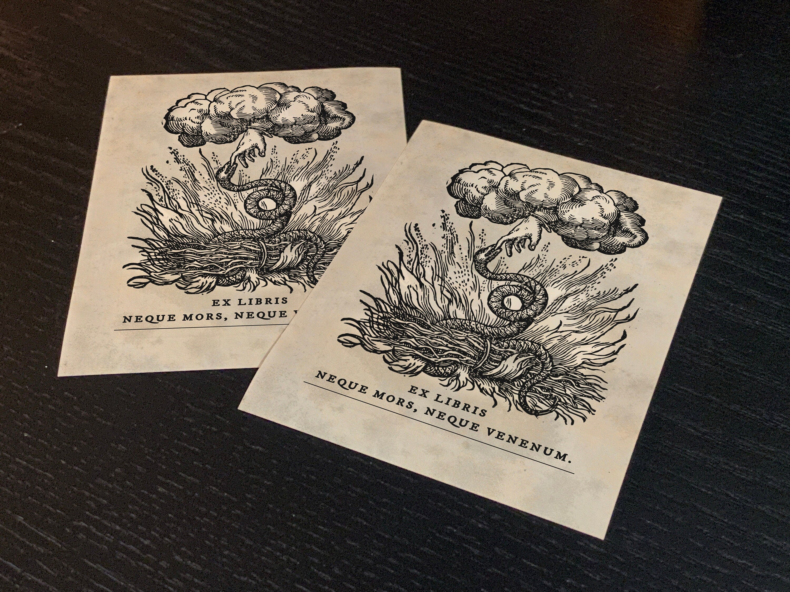 Hand of God, Dark Academia, Personalized Ex-Libris Bookplates, Crafted on Traditional Gummed Paper, 4in x 2.5in, Set of 30