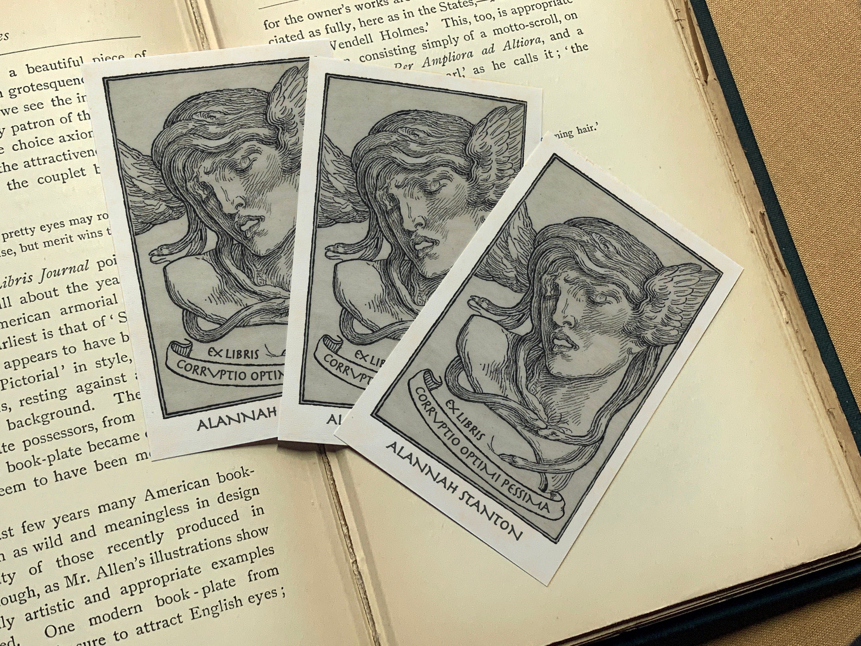 Medusa's Triumph, Mythological, Personalized Ex-Libris Bookplates, Crafted on Traditional Gummed Paper, 2.5in x 4in, Set of 30