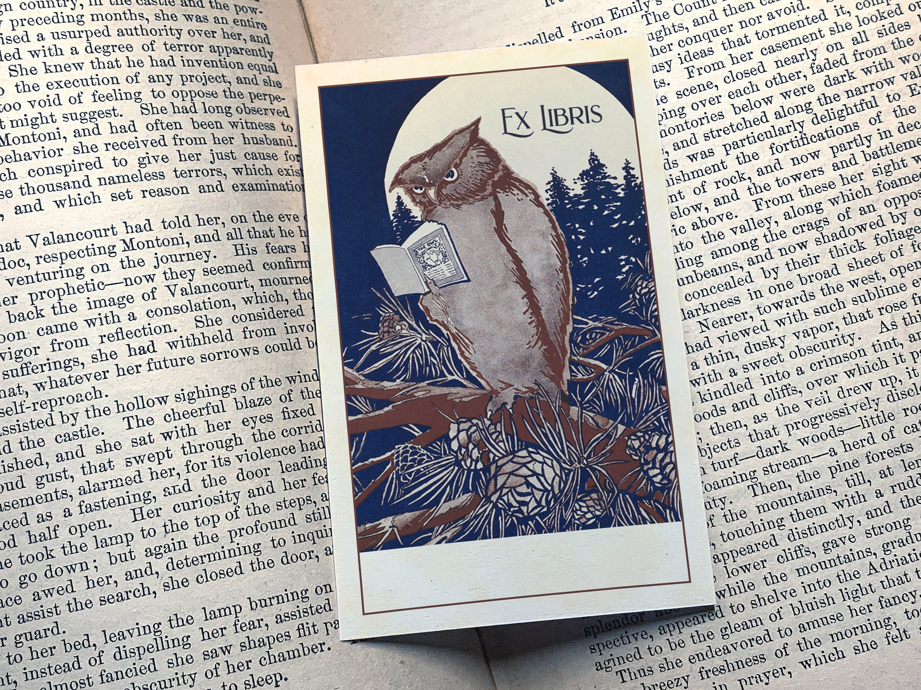 Owl Reading Book, Personalized Ex Libris Bookplates, Crafted on Traditional Gummed Paper, 3in x 4in, Set of 30