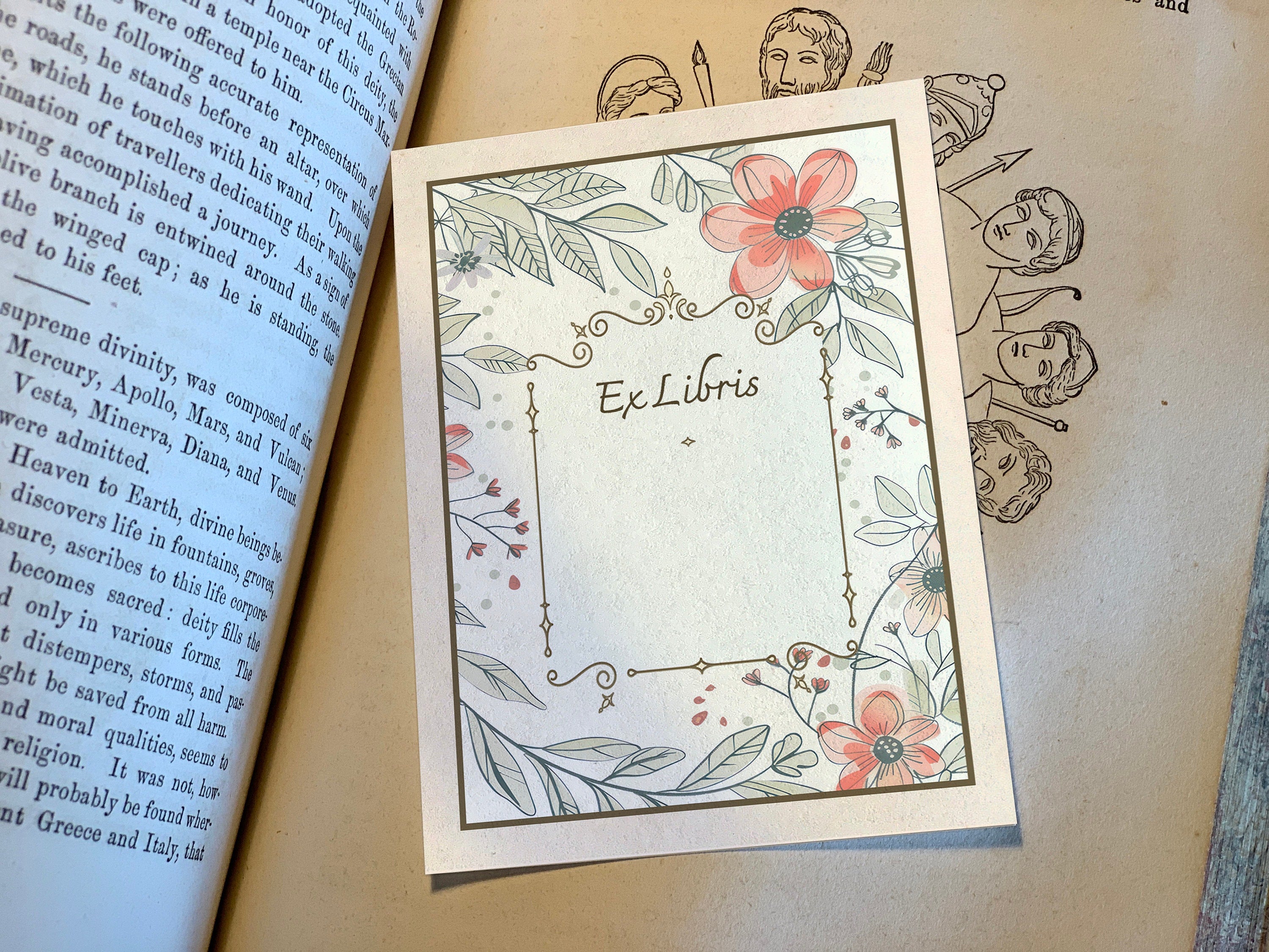 Orange Daisy, Personalized Floral Ex-Libris Bookplates, Crafted on Traditional Gummed Paper, 3in x 4in, Set of 30