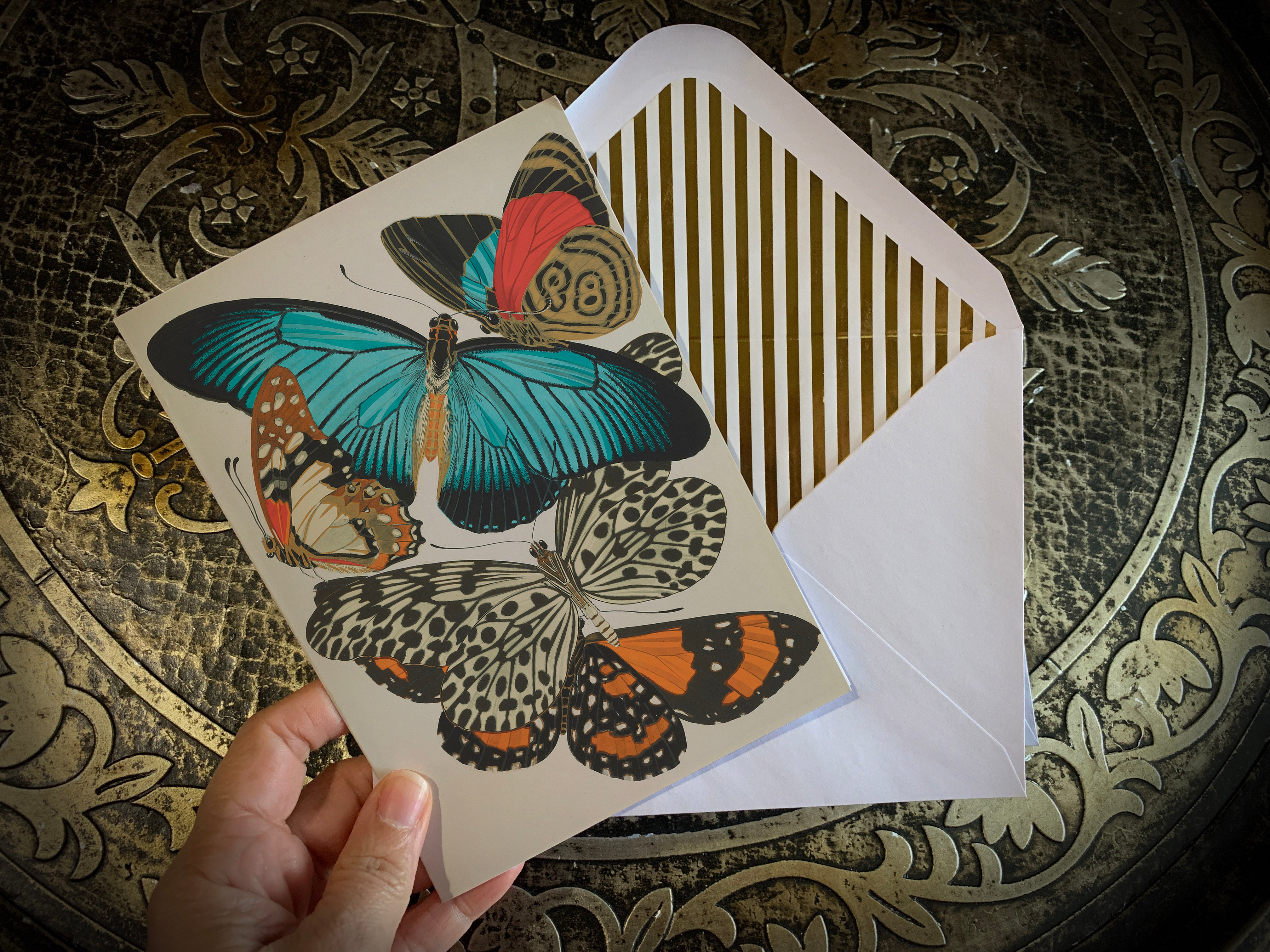 Butterflies by E.A. Seguy, Everyday Greeting Cards with Elegant Striped Gold Foil Envelopes, 5in x 7in, 5 Cards/5 Envelopes