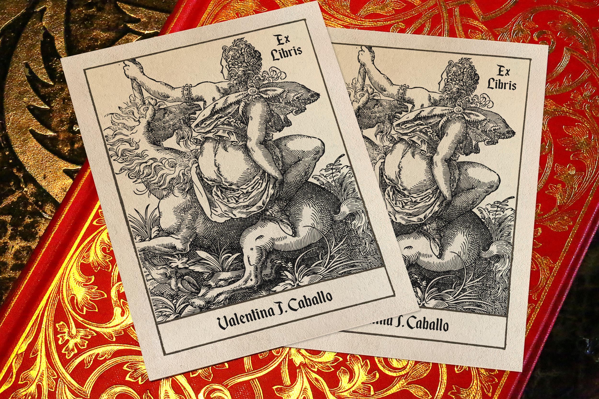 Woman and Unicorn, Personalized Erotic Ex-Libris Bookplates, Crafted on Traditional Gummed Paper, 3in x 4in, Set of 30