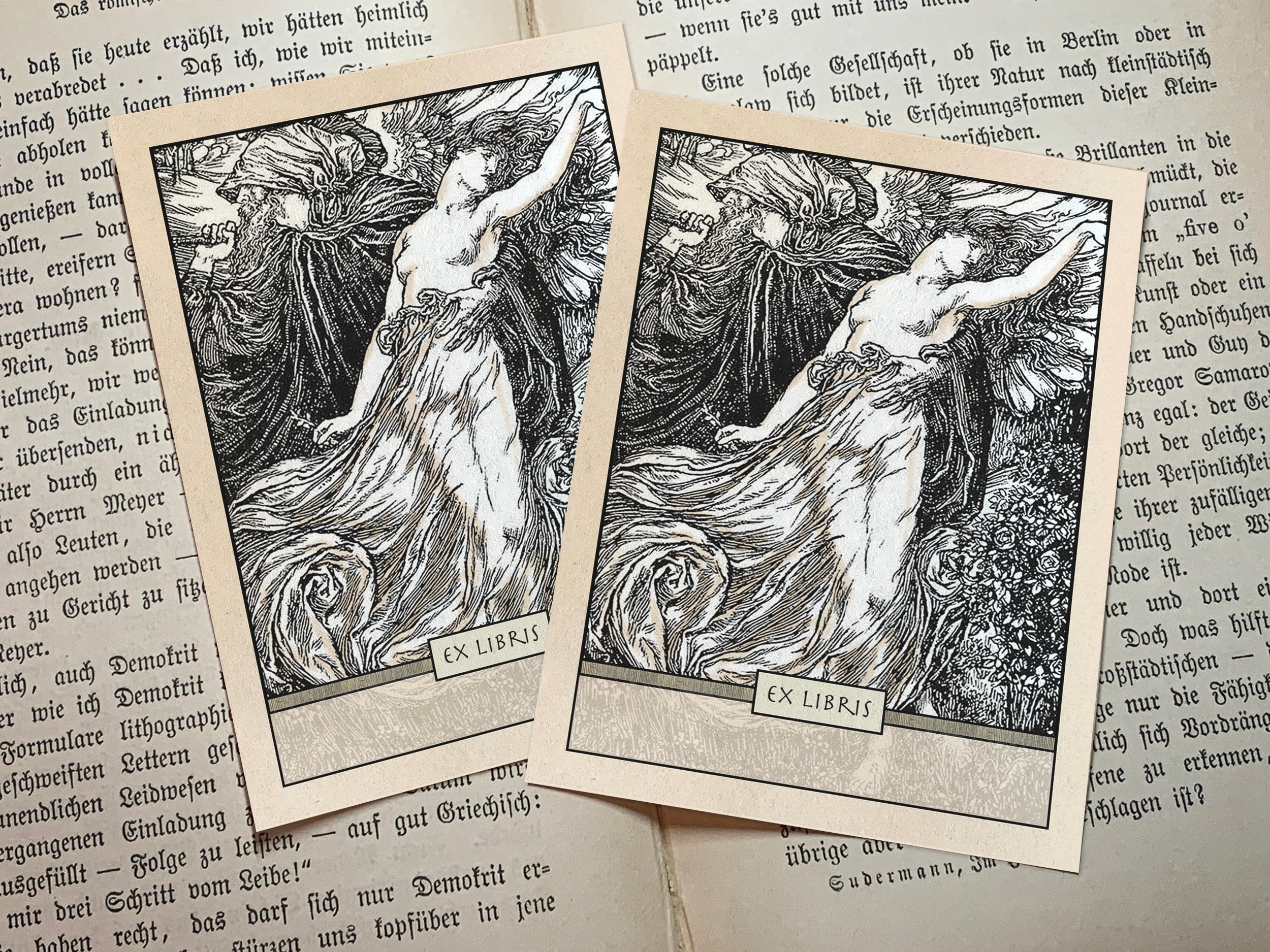 Time Never Rests, Personalized Ex-Libris Bookplates, Crafted on Traditional Gummed Paper, 2.5in x 4in, Set of 30