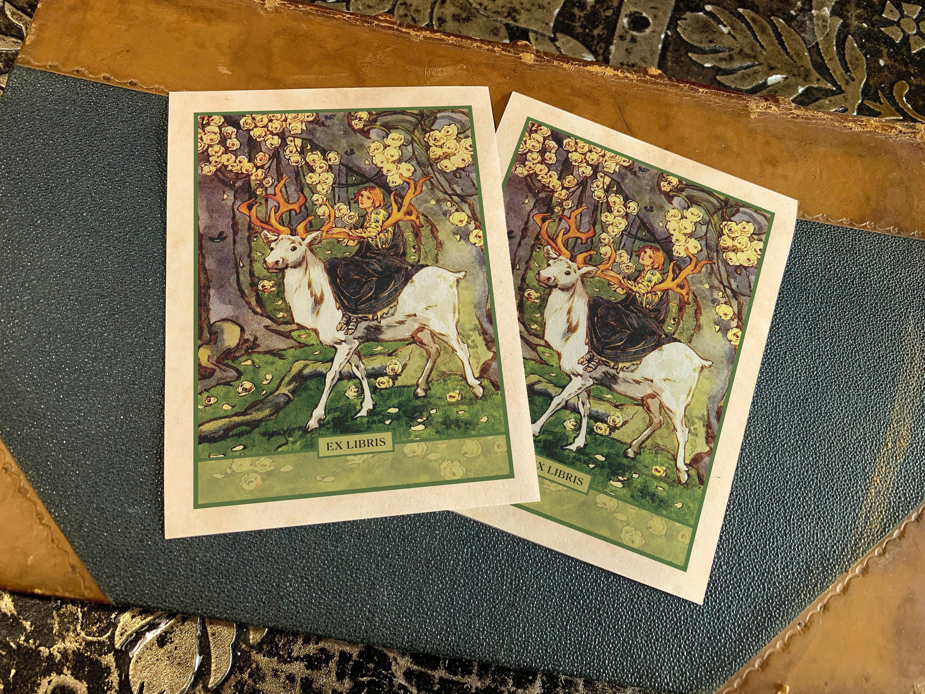 Girl Riding a Magical Stag, Fairytale Personalized Ex-Libris Bookplates, Crafted on Traditional Gummed Paper, 3in x 4in, Set of 30