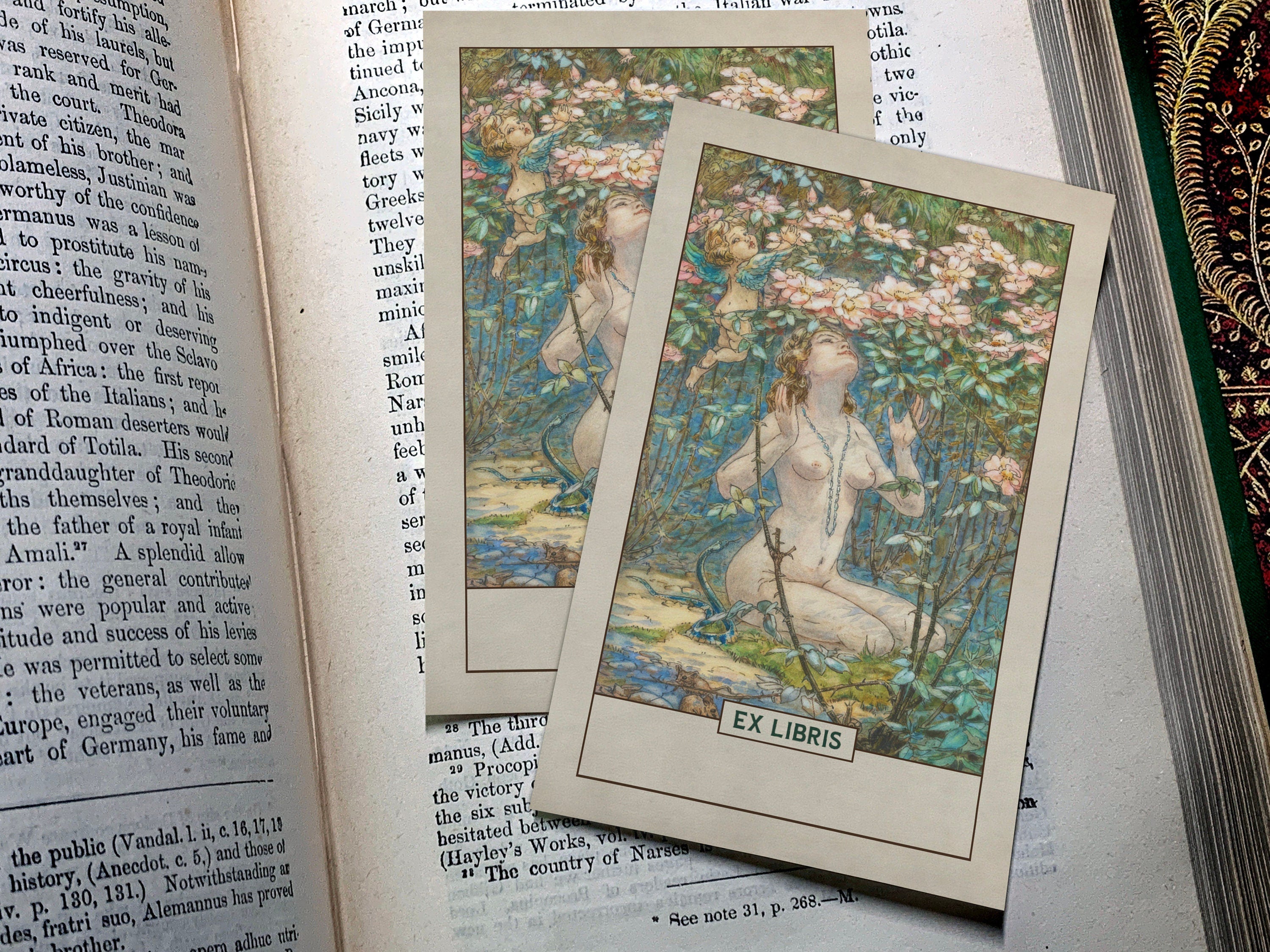 Fairy Bower, Personalized Ex-Libris Bookplates, Crafted on Traditional Gummed Paper, 2.5in x 4in, Set of 30