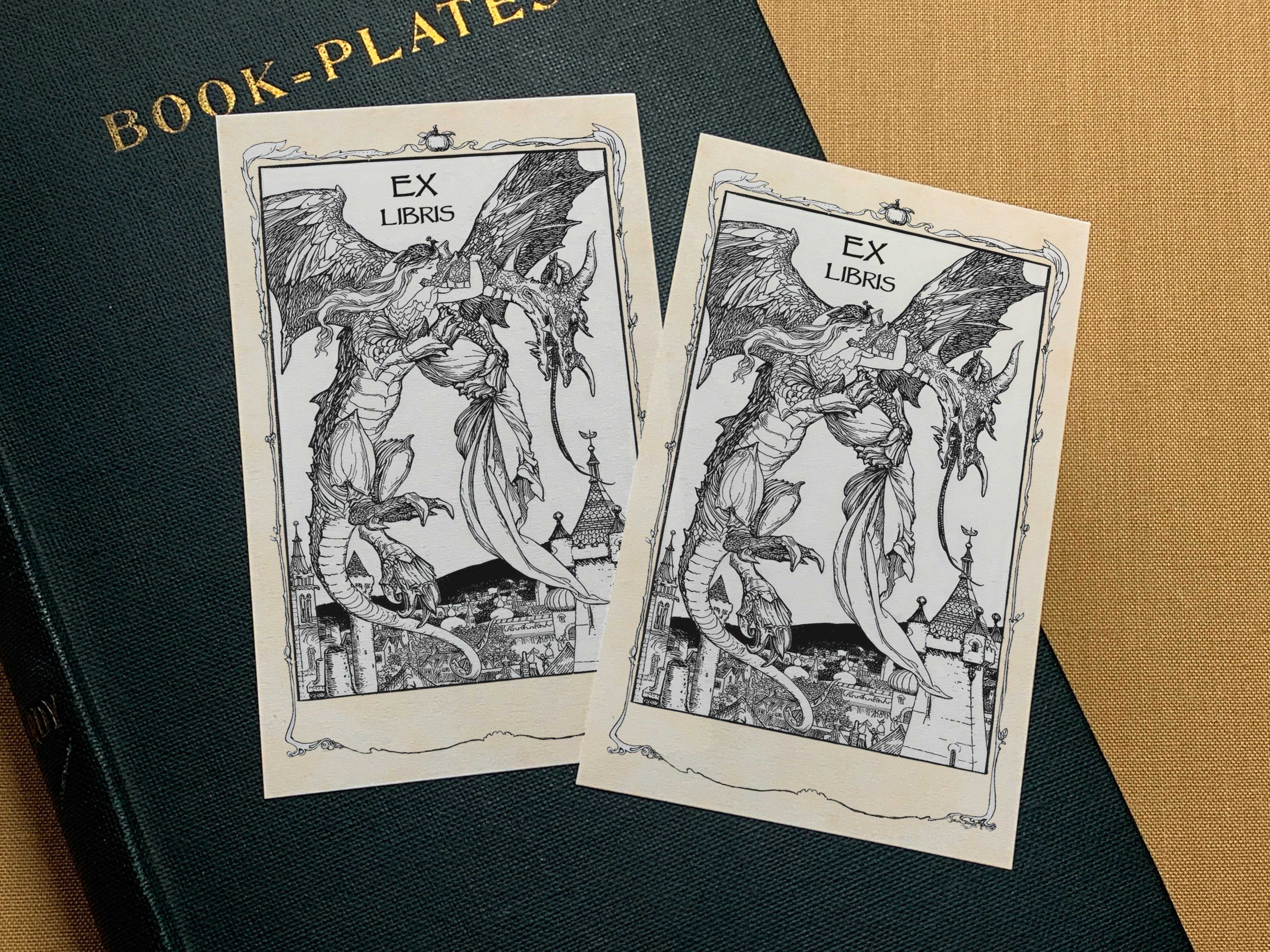 The Lady and the Dragon, Fairytale Personalized Ex-Libris Bookplates, Crafted on Traditional Gummed Paper, 2.5in x 4in, Set of 30