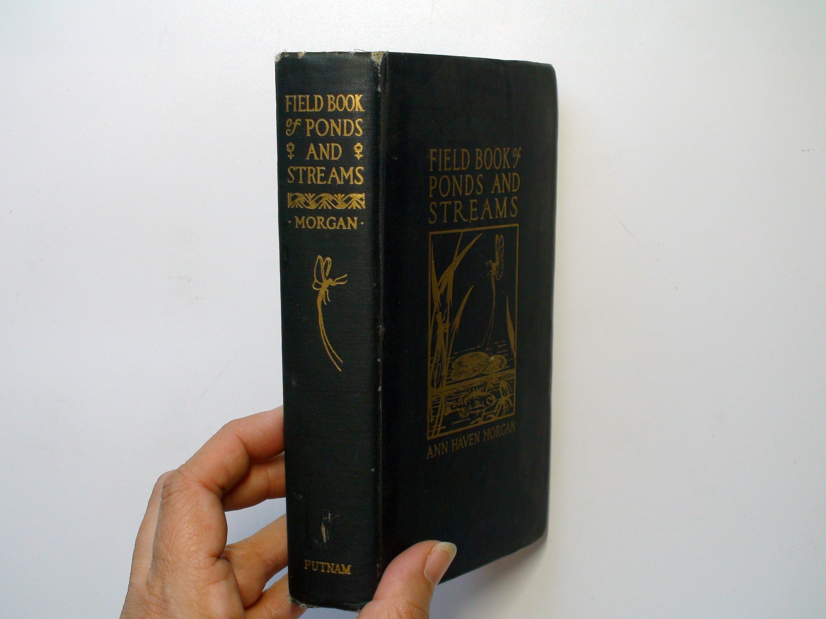 Field Book of Ponds and Streams, Ann Haven Morgan, Illustrated, 4th Ed, 1936