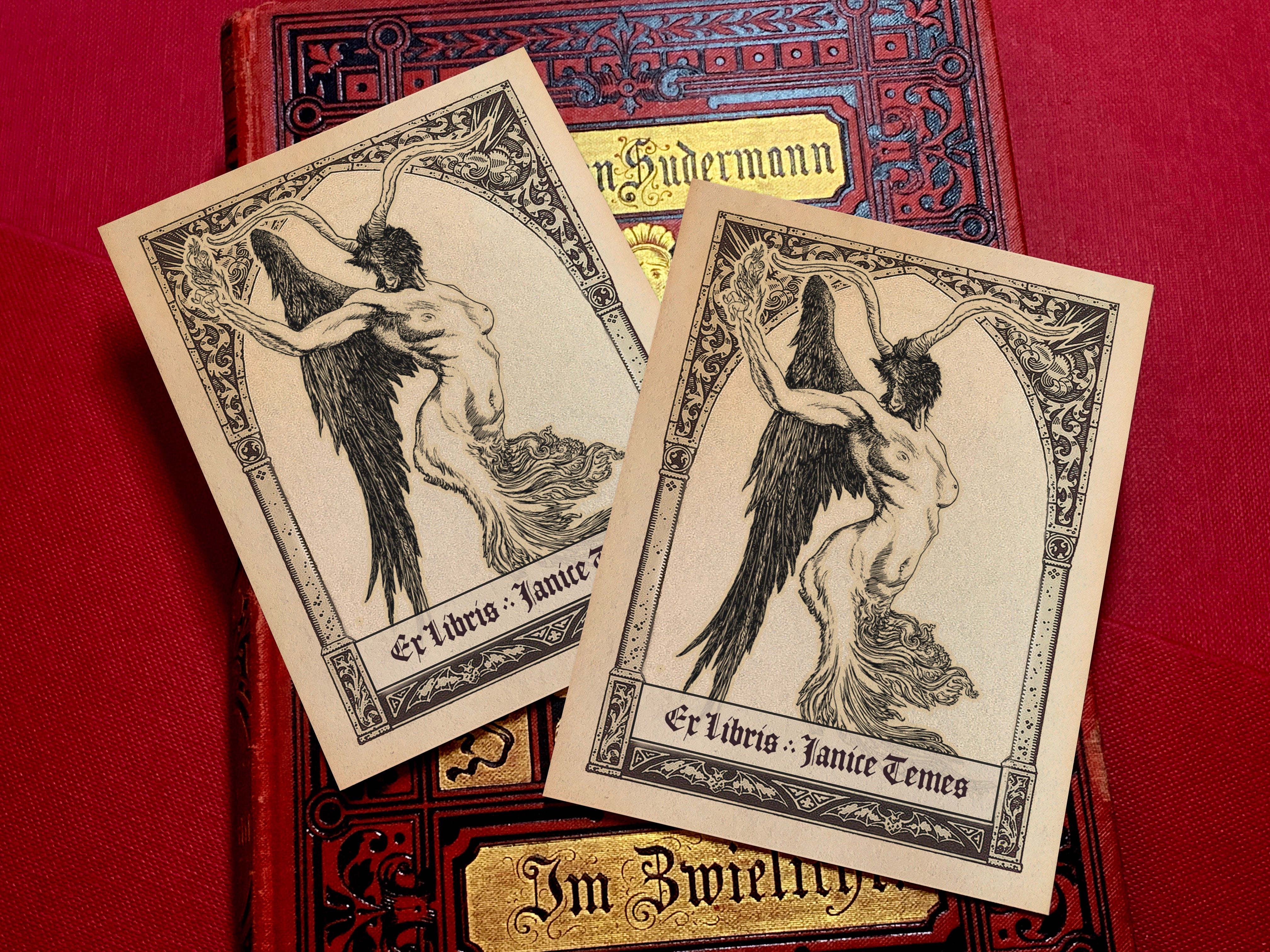 Diabolus Grotesque, Dark Academia Personalized Ex-Libris Bookplates, Crafted on Traditional Gummed Paper, 3in x 4in, Set of 30