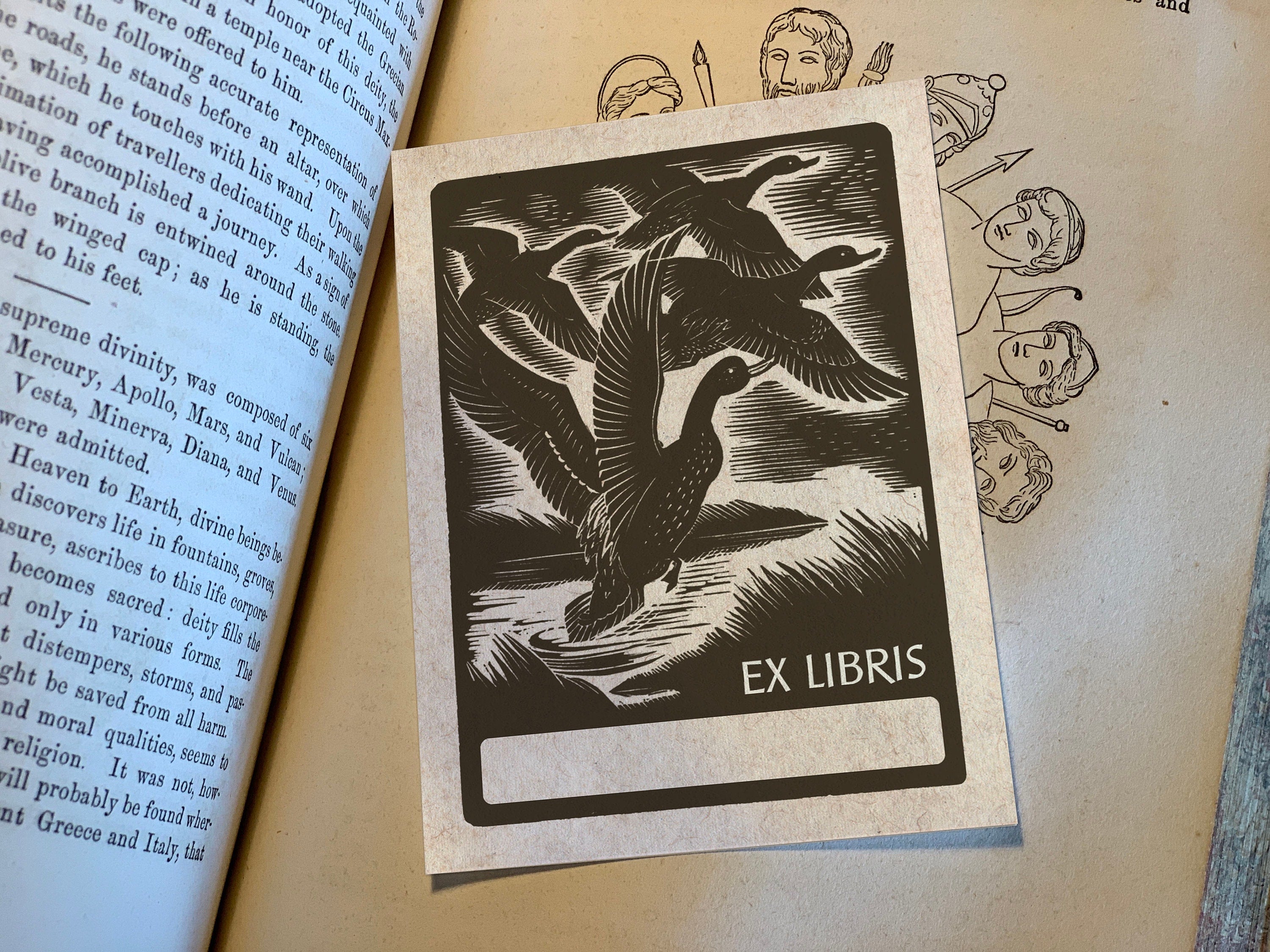 Duck Pond, Personalized Ex-Libris Bookplates, Crafted on Traditional Gummed Paper, 3in x 4in, Set of 30