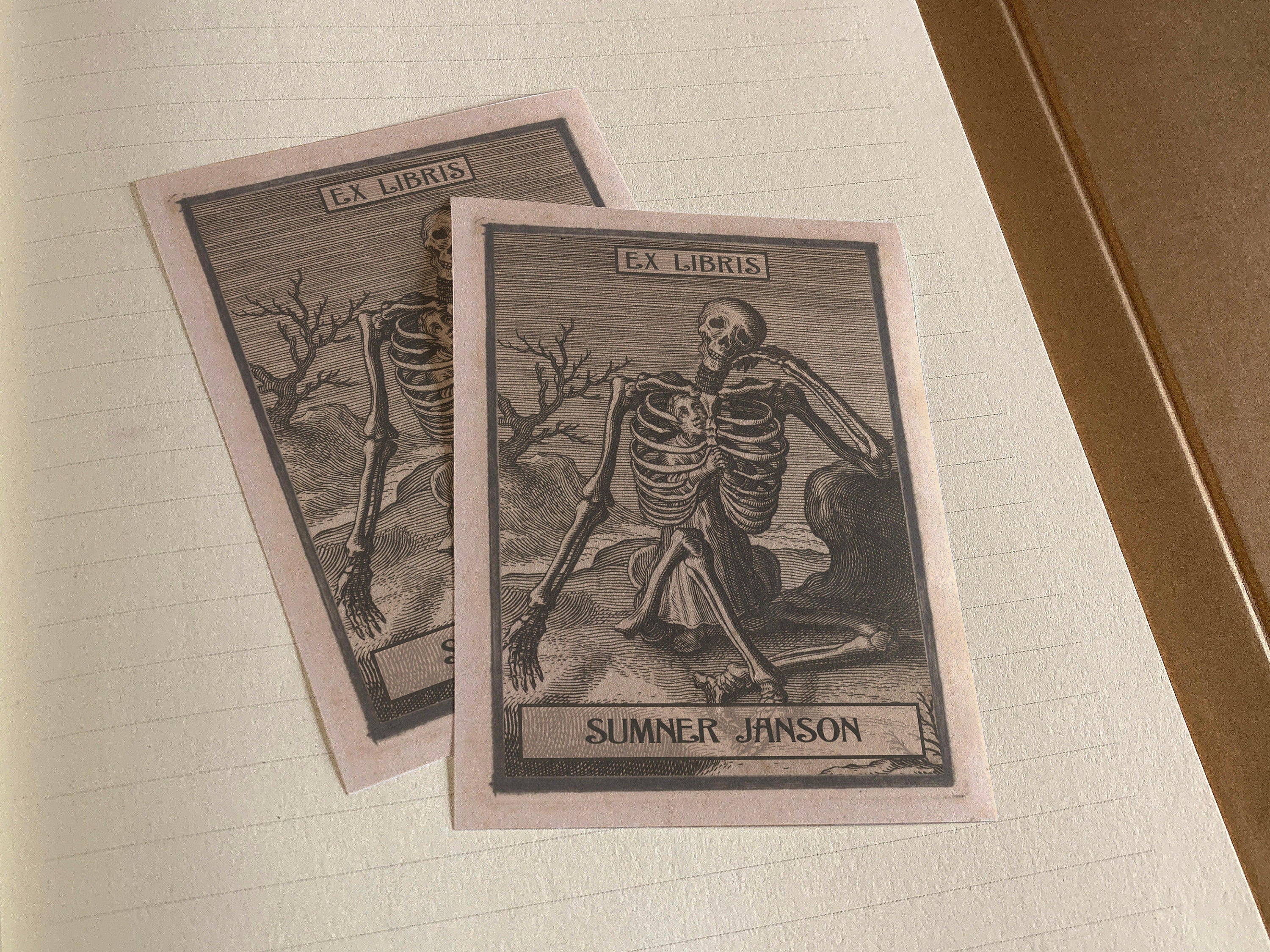 This Mortal Coil, Personalized Dark Academia Ex-Libris Bookplates, Crafted on Traditional Gummed Paper, 3in x 4in, Set of 30