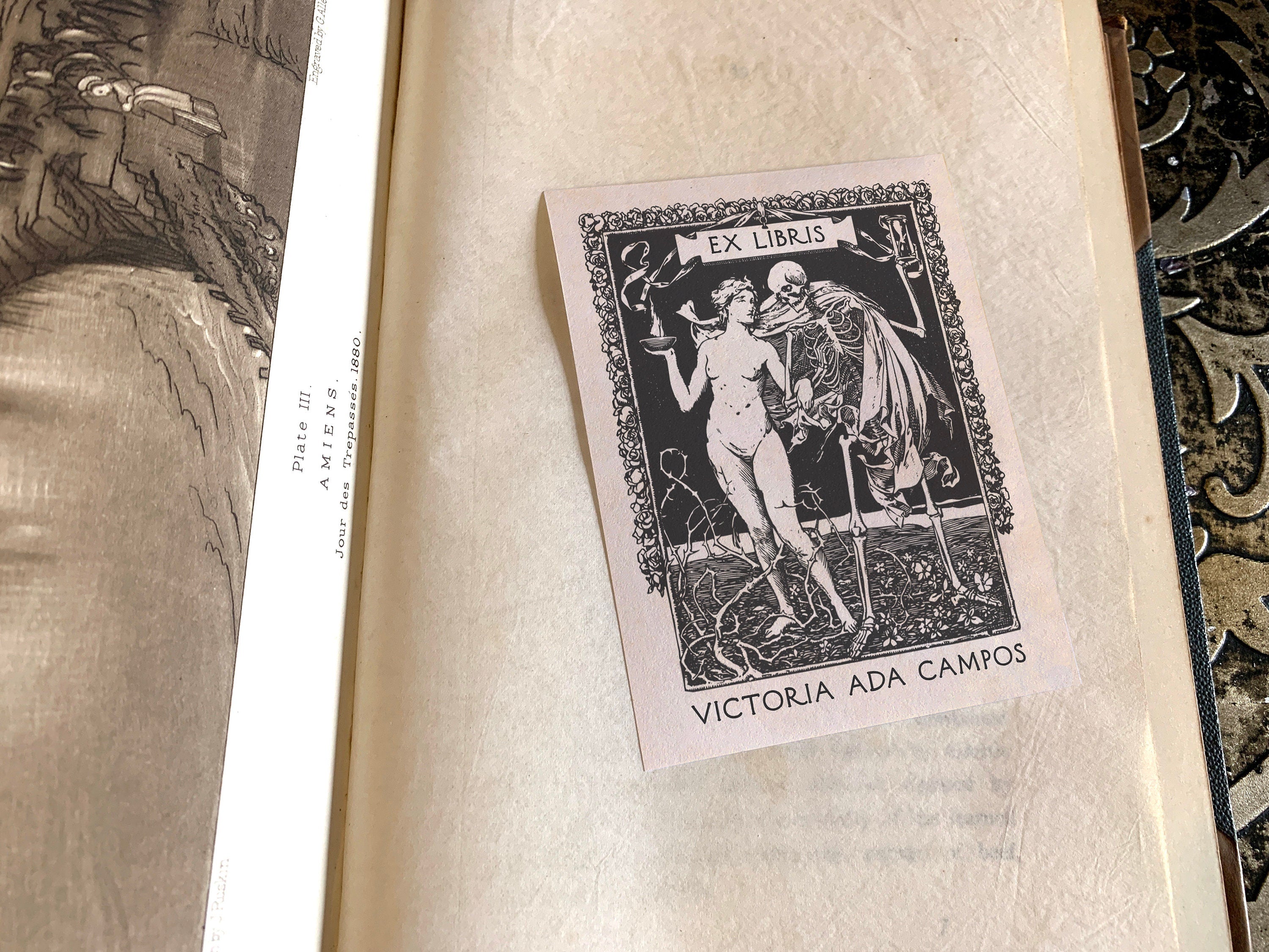 Beauty and Death, Personalized Ex-Libris Bookplates, Crafted on Traditional Gummed Paper, 3in x 4in, Set of 30