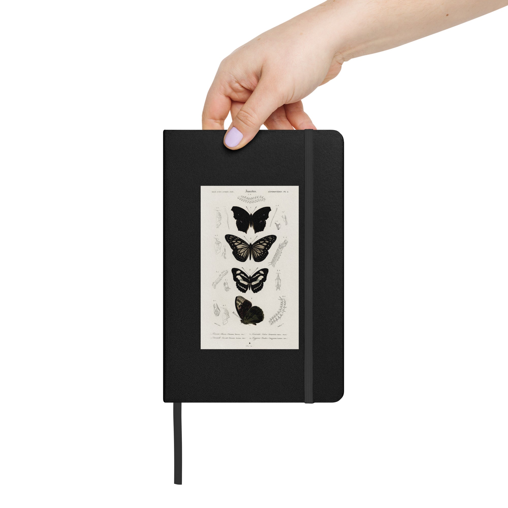 Black Butterflies, Hardcover Notebook/Journal/Idea Book, Lined