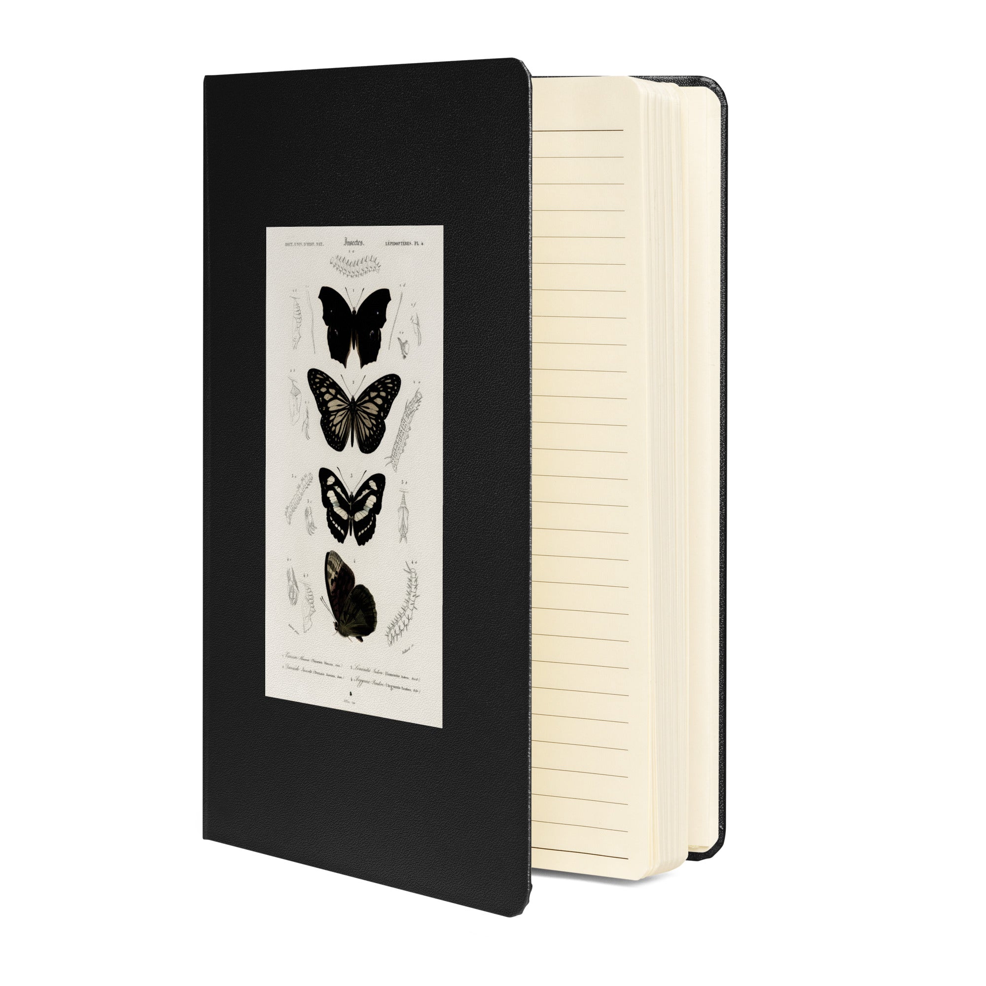 Black Butterflies, Hardcover Notebook/Journal/Idea Book, Lined