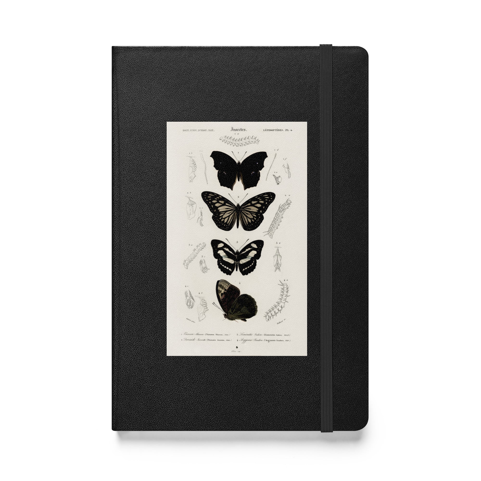 Black Butterflies, Hardcover Notebook/Journal/Idea Book, Lined