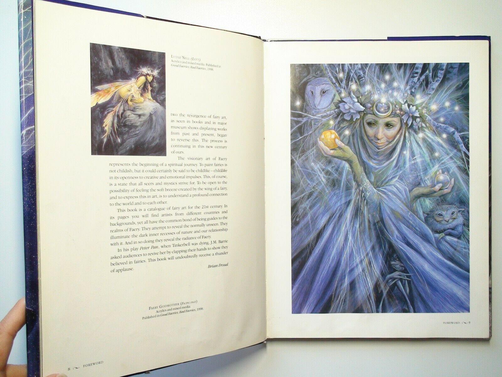 The Art of Faery, David Riche, Brian Froud, 1st Ed, w DJ, Illustrated, 2003