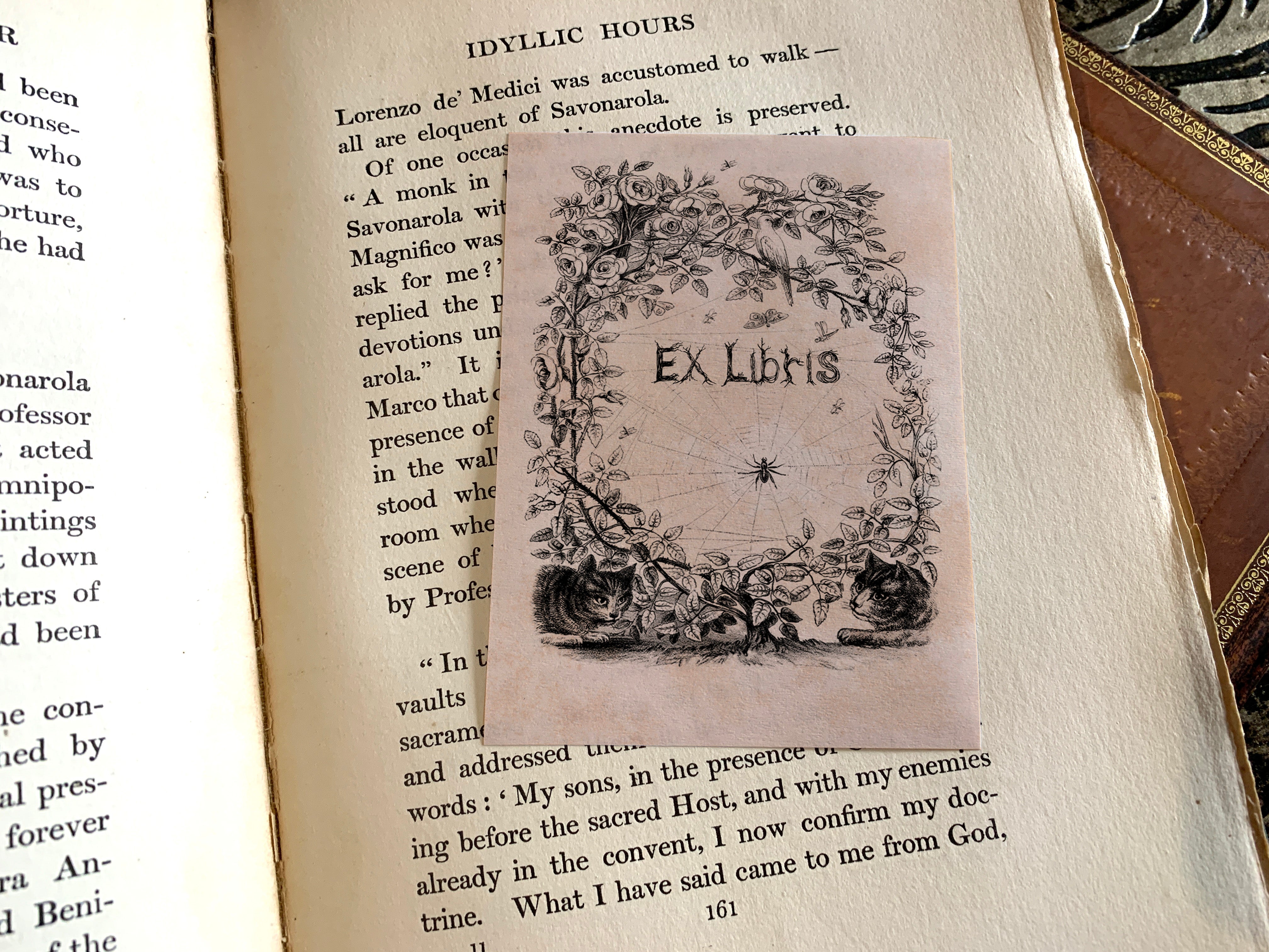 Spiderweb, Personalized Ex-Libris Bookplates, Crafted on Traditional Gummed Paper, 3in x 4in, Set of 30