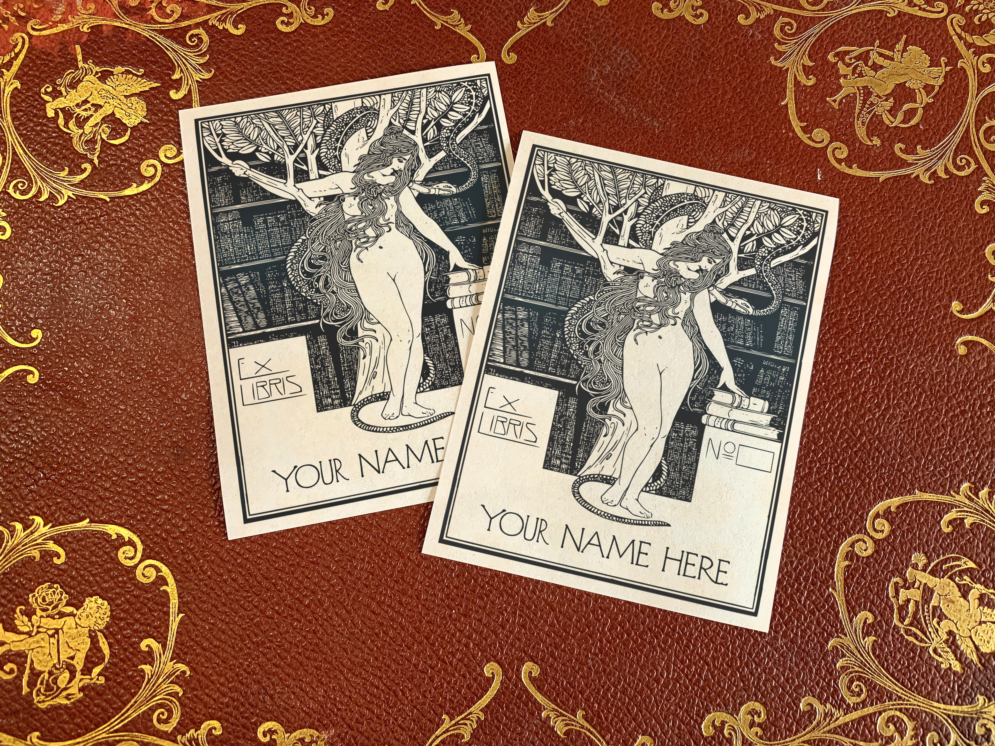 Eve's Temptation, Personalized Erotic Ex-Libris Bookplates, Crafted on Traditional Gummed Paper, 3in x 4in, Set of 30