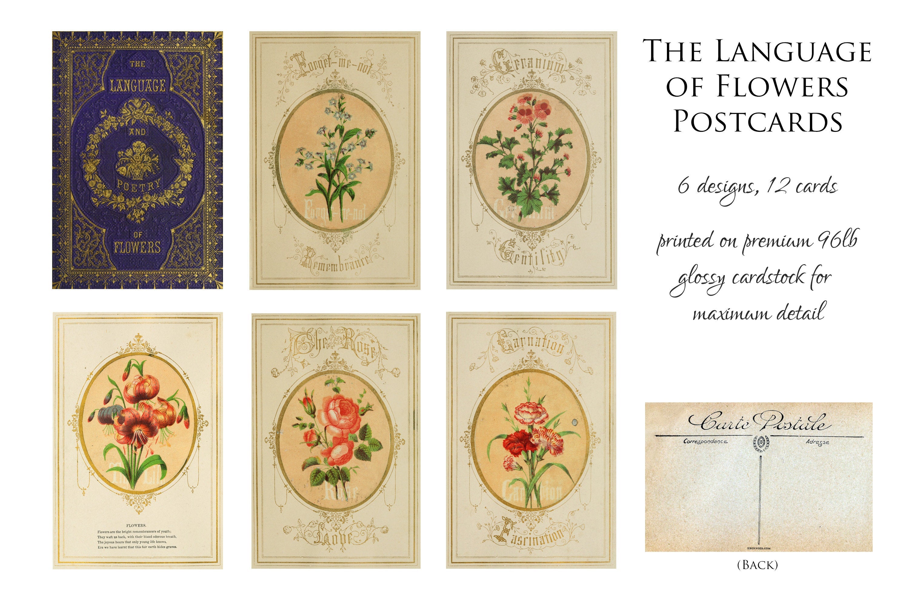 The Language of Flowers Everyday Postcards/Greeting Cards for Literature and Garden Lovers, 6 Designs, 12 Cards