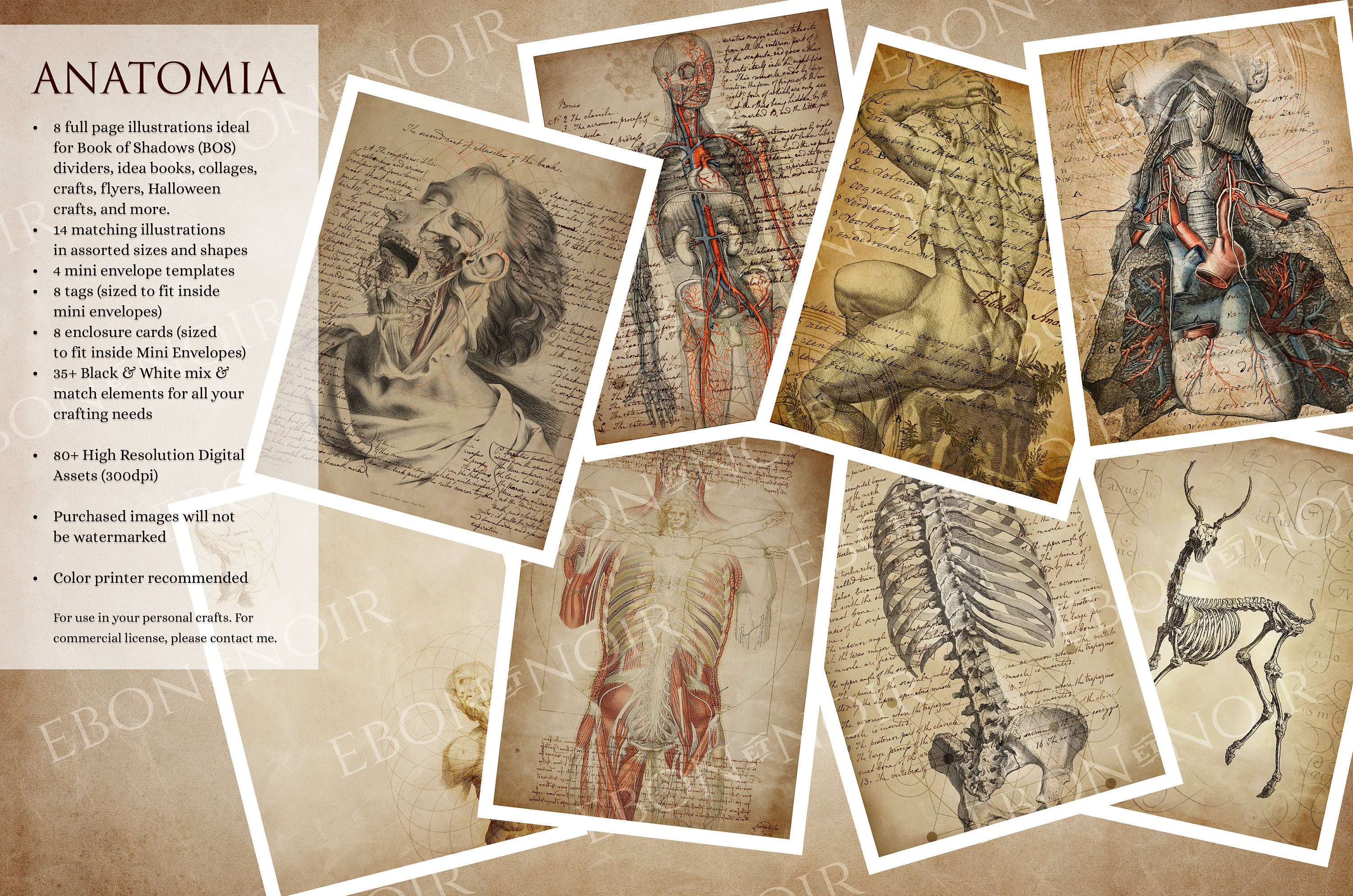 ANATOMIA, Anatomical Crafting Kit Based on Ancient Medical Texts, Book of Shadows (BOS), Scrapbook, Collage, Junk Journal, Digital Download