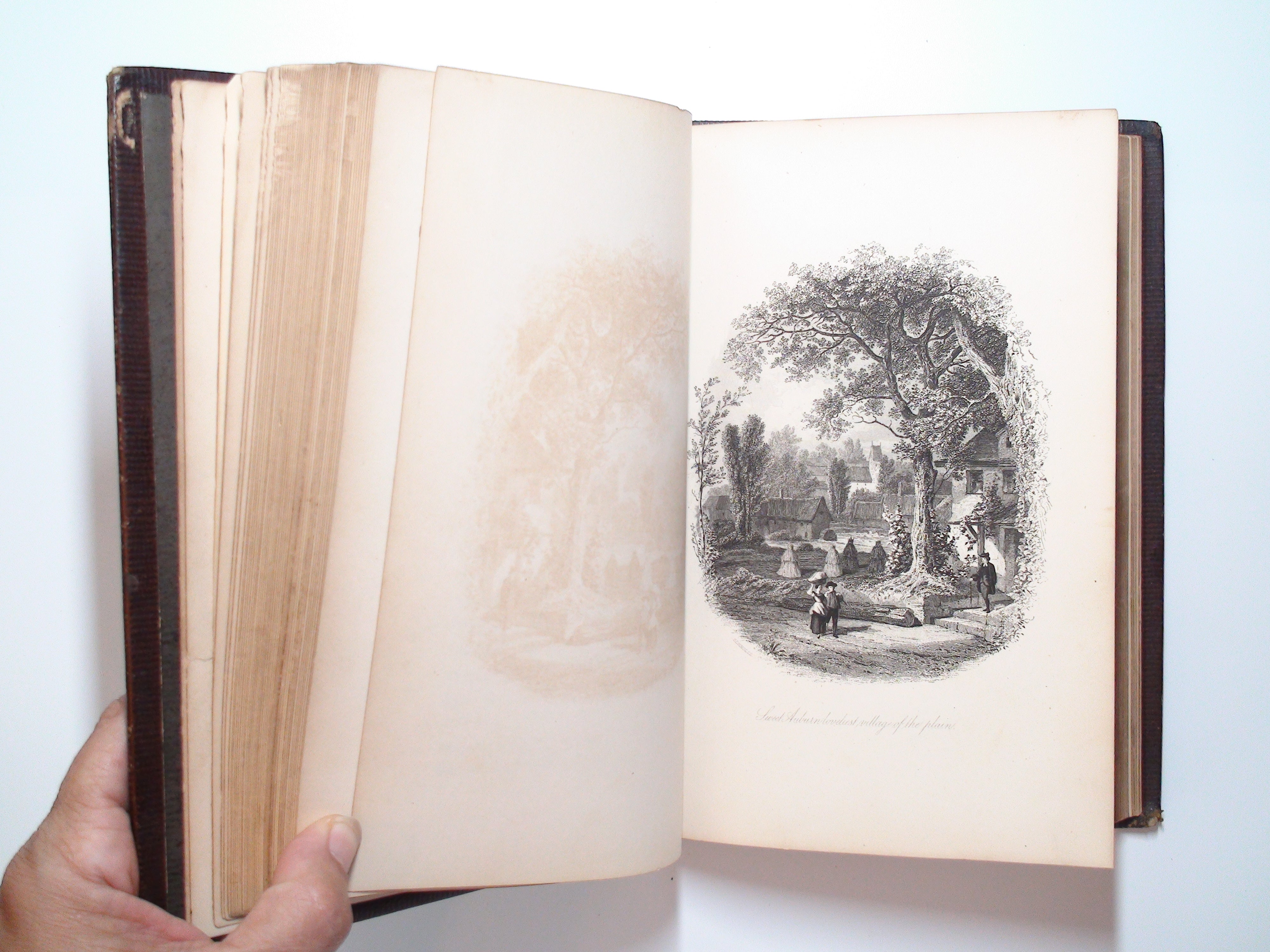 Poetical Works of Oliver Goldsmith, Leather, E. H. Butler, Illustrated, 1864