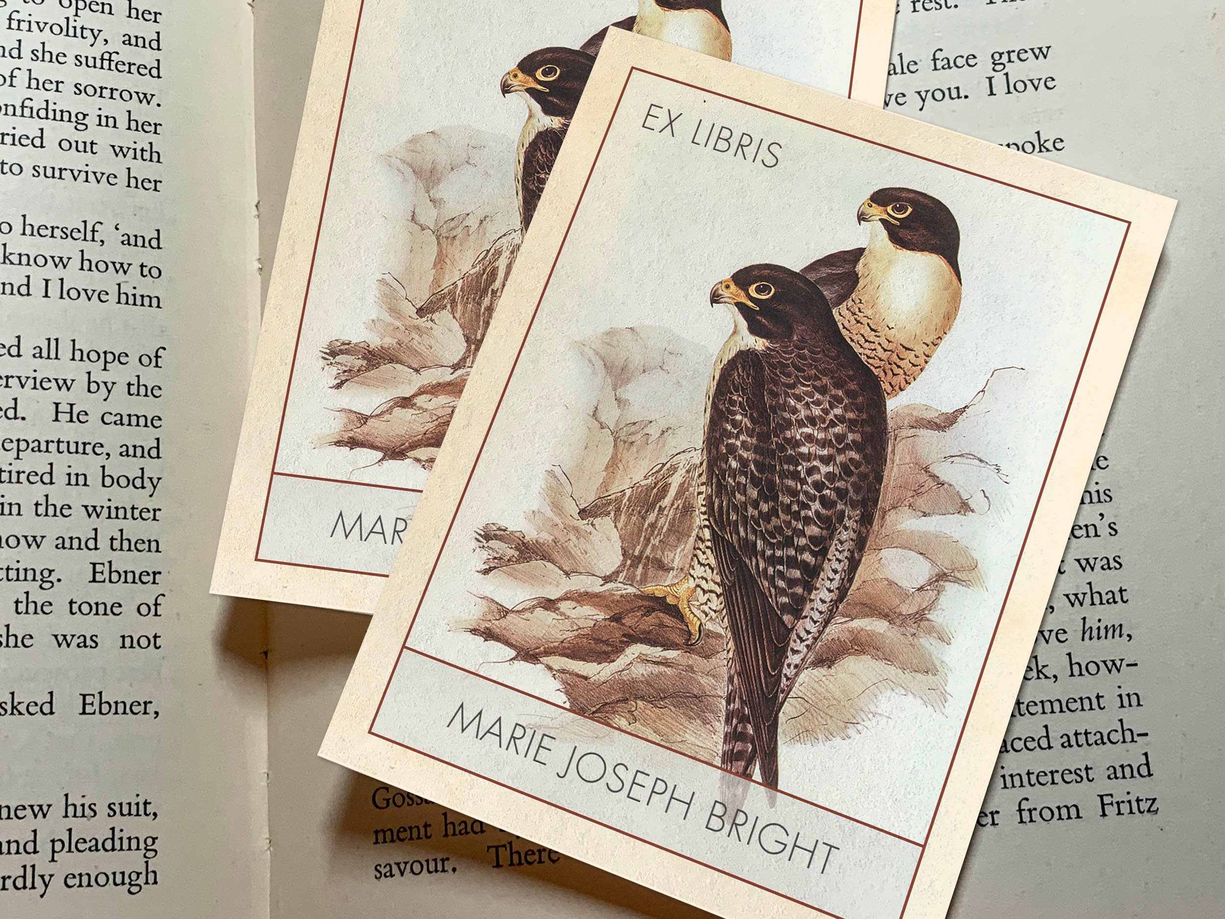 Avian Visions by John Gould, Personalized, Bird Ex Libris Bookplates, Crafted on Traditional Gummed Paper, 32 Styles, 3in x 4in, Set of 30