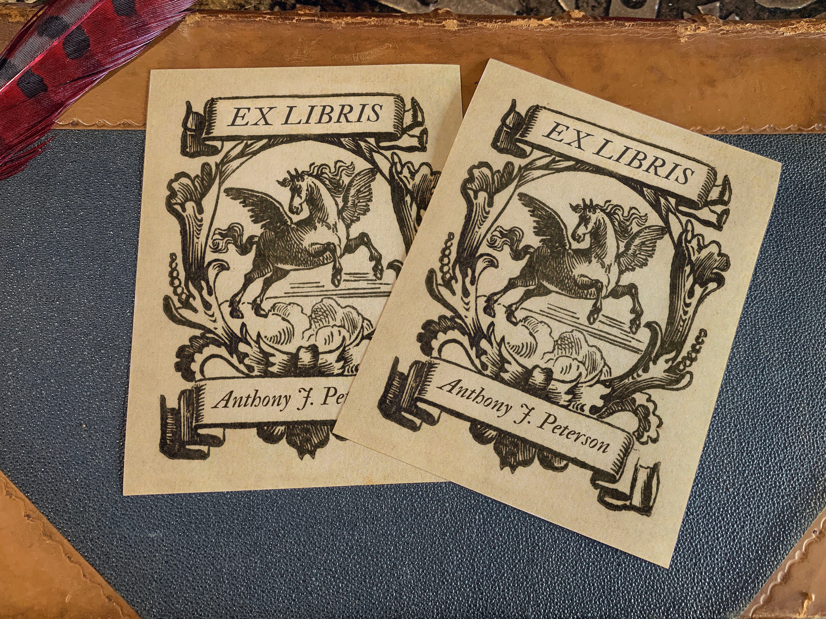 Medieval Pegasus, Personalized Ex-Libris Bookplates, Crafted on Traditional Gummed Paper, 3in x 4in, Set of 30