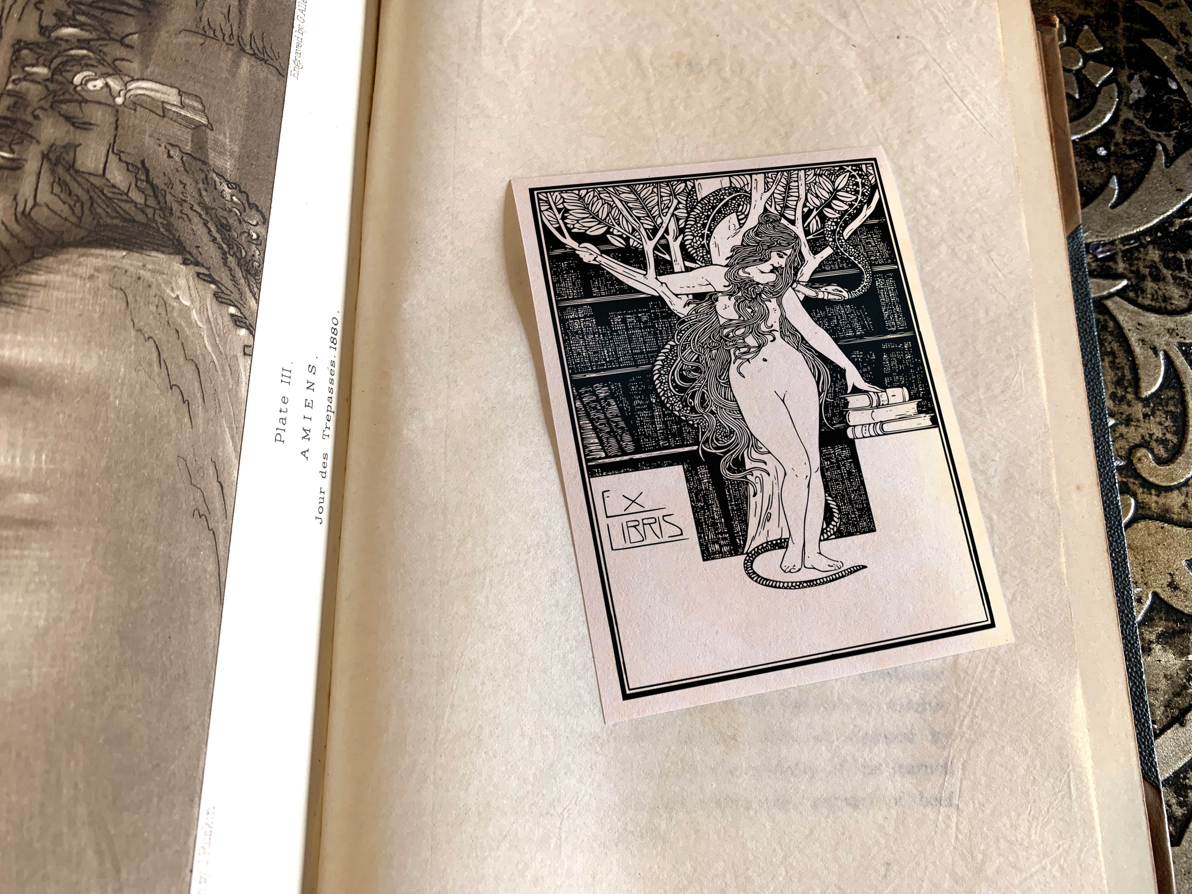 Eve's Temptation, Personalized Erotic Ex-Libris Bookplates, Crafted on Traditional Gummed Paper, 3in x 4in, Set of 30