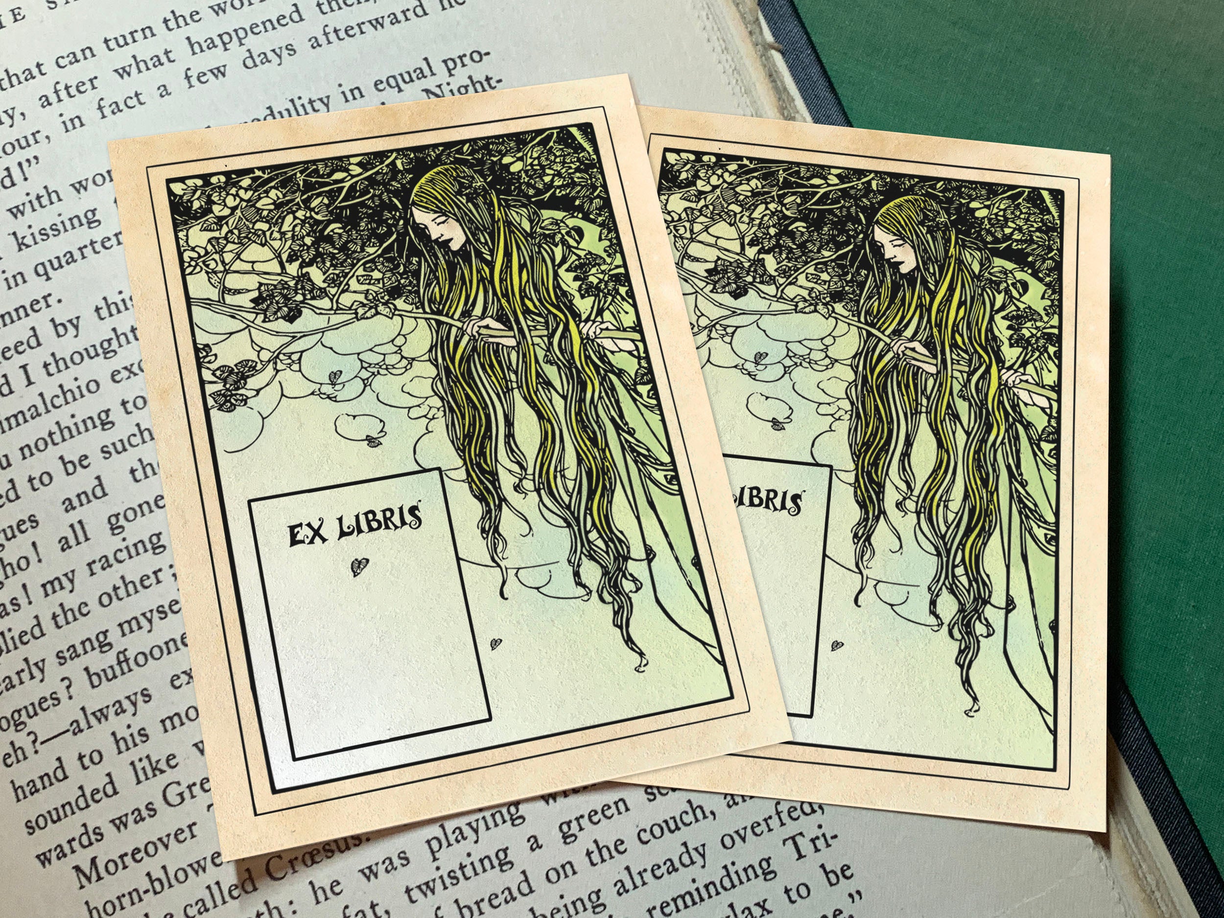 Curious Dryad, Personalized Ex-Libris Bookplates, Crafted on Traditional Gummed Paper, 3in x 4in, Set of 30