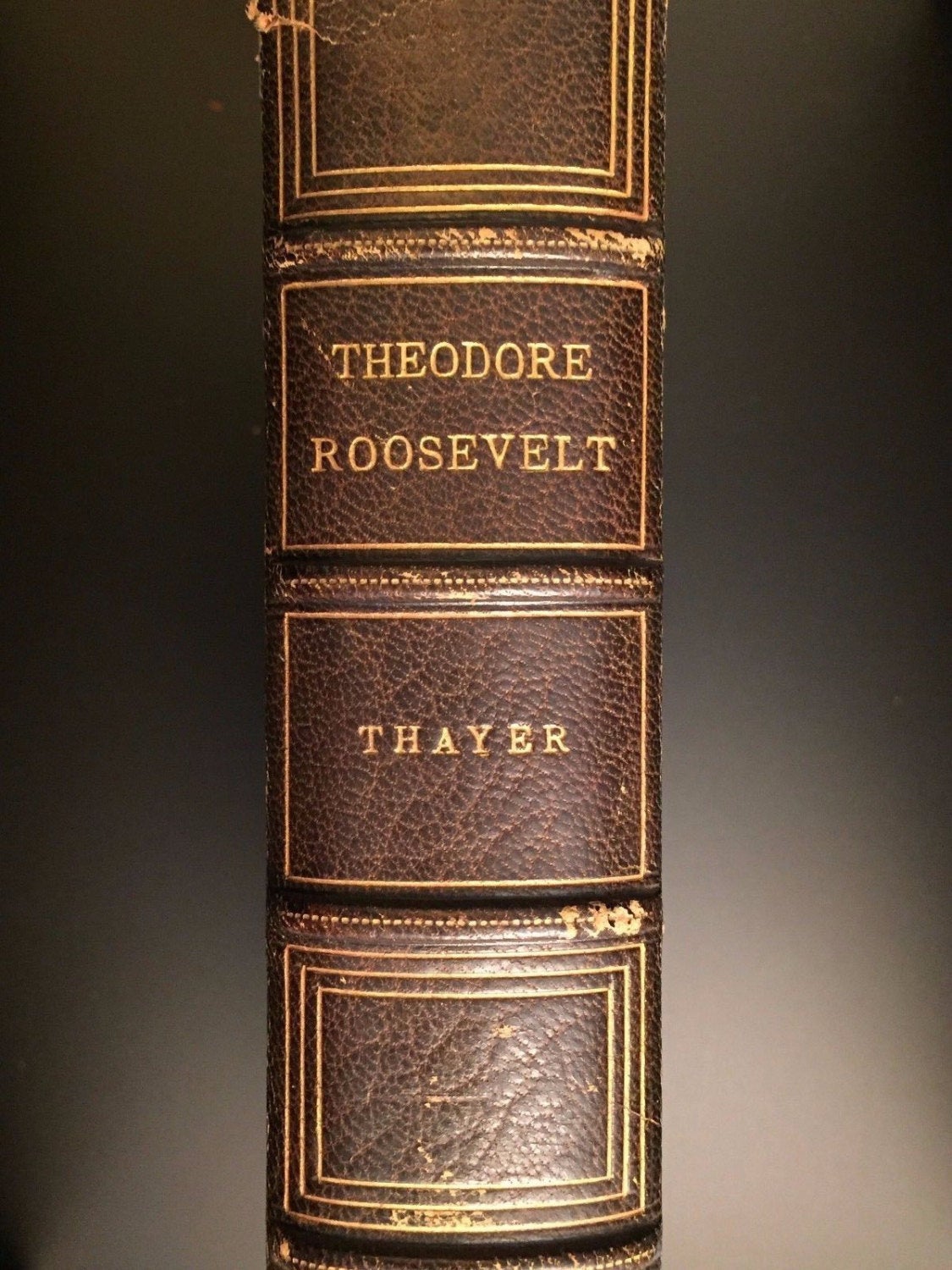 Theodore Roosevelt, An Intimate Biography, William Thayer, 1st Ed., 1919, Illustrated