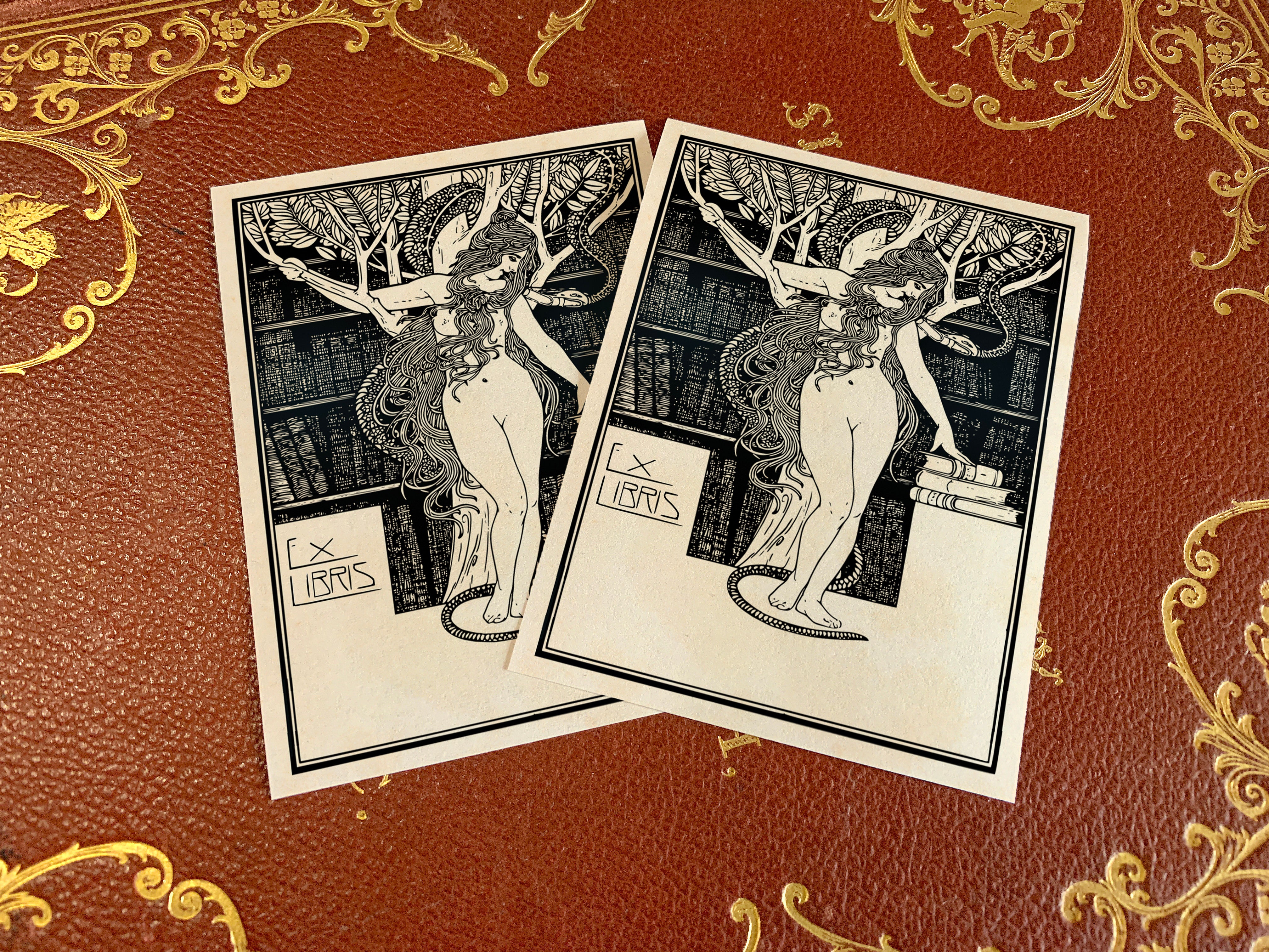 Eve's Temptation, Personalized Erotic Ex-Libris Bookplates, Crafted on Traditional Gummed Paper, 3in x 4in, Set of 30