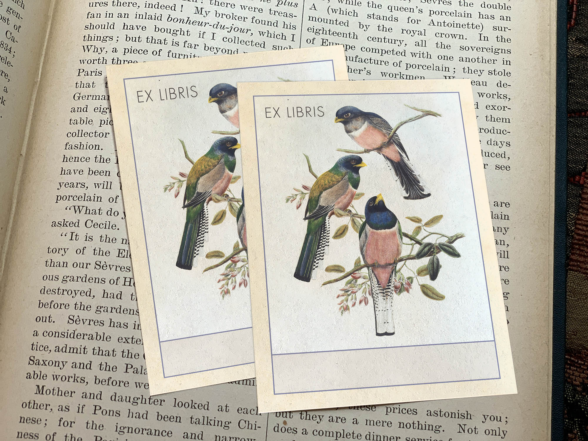 Avian Visions by John Gould, Personalized, Bird Ex Libris Bookplates, Crafted on Traditional Gummed Paper, 32 Styles, 3in x 4in, Set of 30