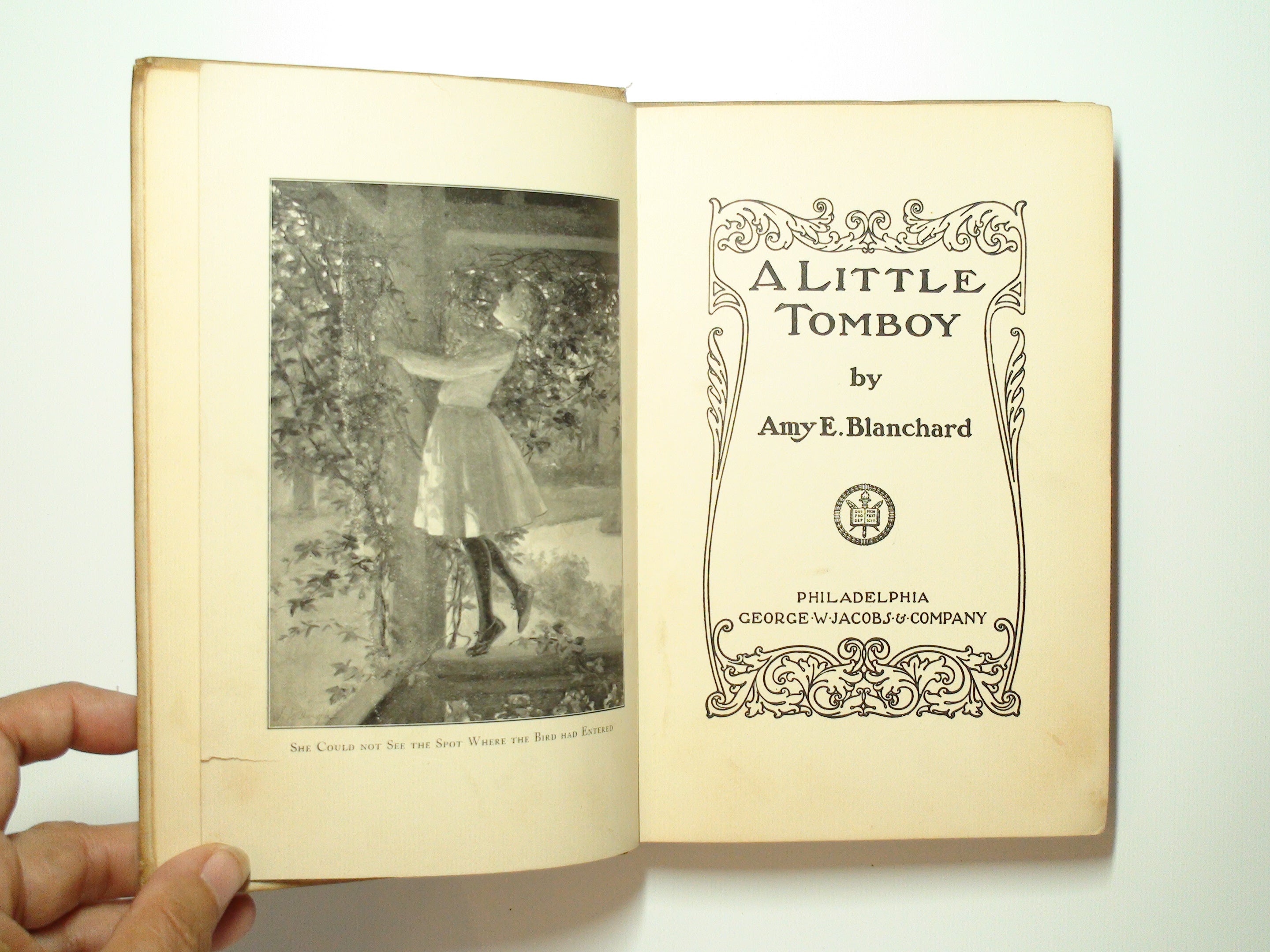 A Little Tom Boy by Amy E. Blanchard, Illustrated, 1st Ed, Children's Book, 1903