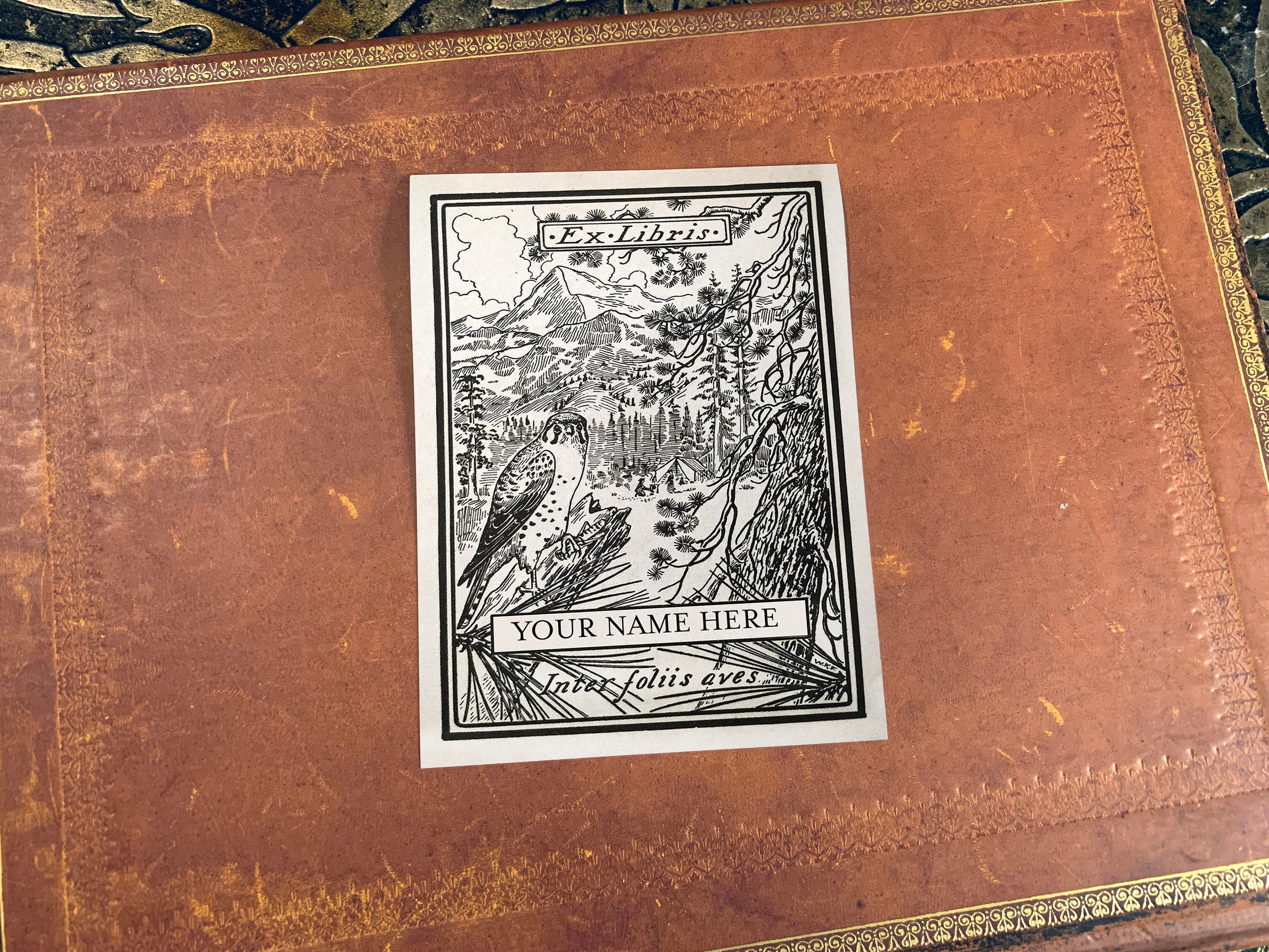 Regal Hawk, Personalized, Ex-Libris Bookplates, Crafted on Traditional Gummed Paper, 3in x 4in, Set of 30