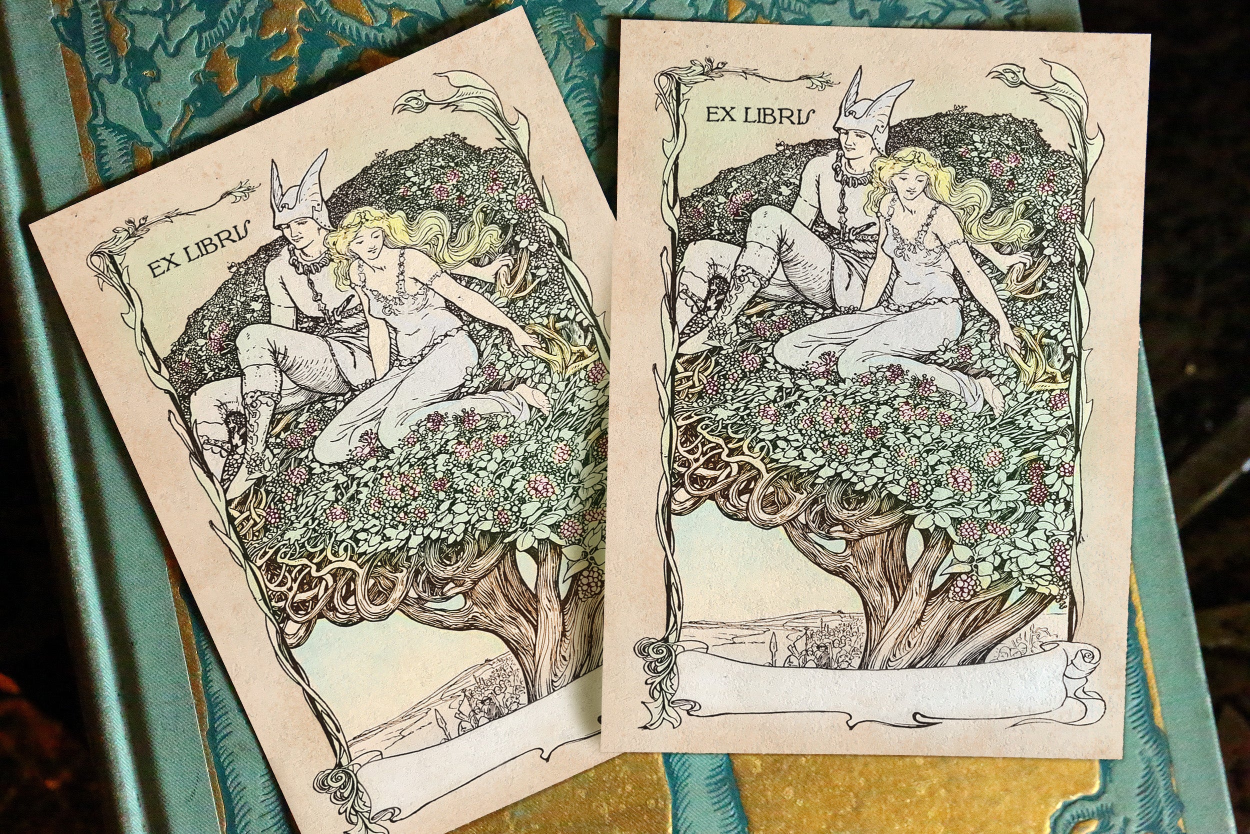Fenian Cycle Irish Fairytale, Personalized Ex-Libris Bookplates, Crafted on Traditional Gummed Paper, 3in x 4in, Set of 30