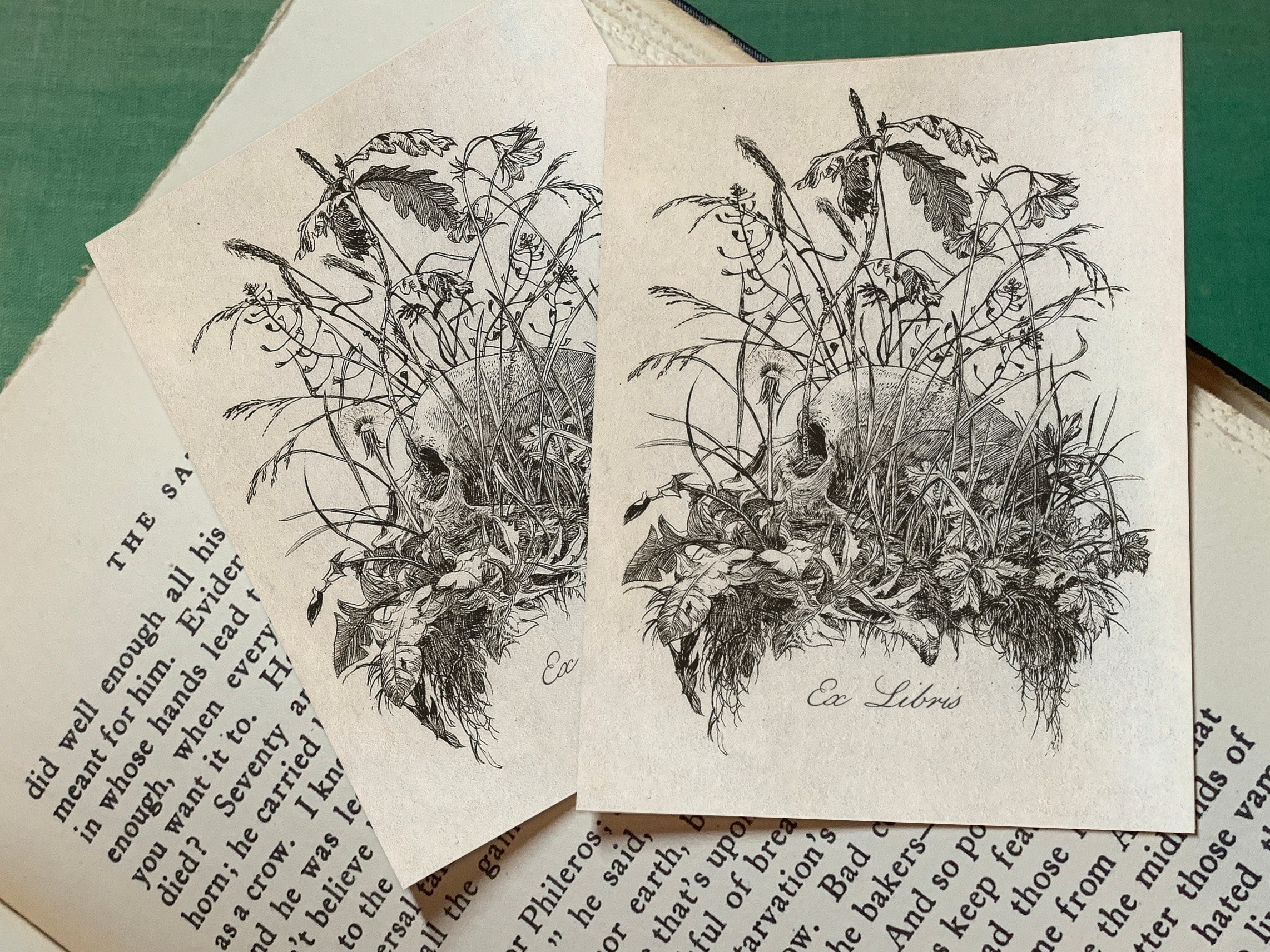 Botanical Skull, Dark Academia, Vanitas, Personalized Ex-Libris Bookplates, Crafted on Traditional Gummed Paper, 3in x 4in, Set of 30