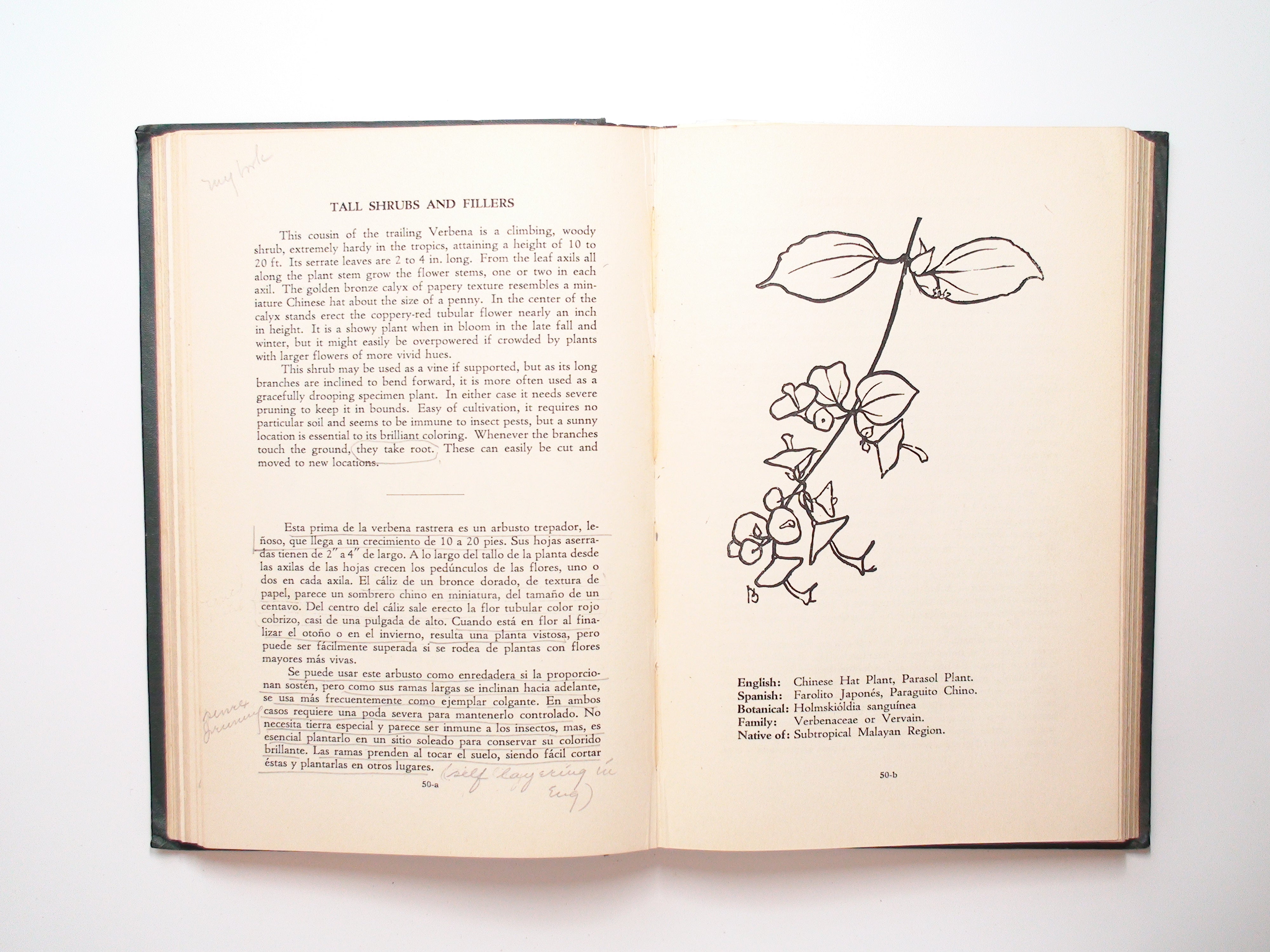 Flowering Plants From Cuban Gardens, Woman's Club of Havana, 1st Ed, 1952