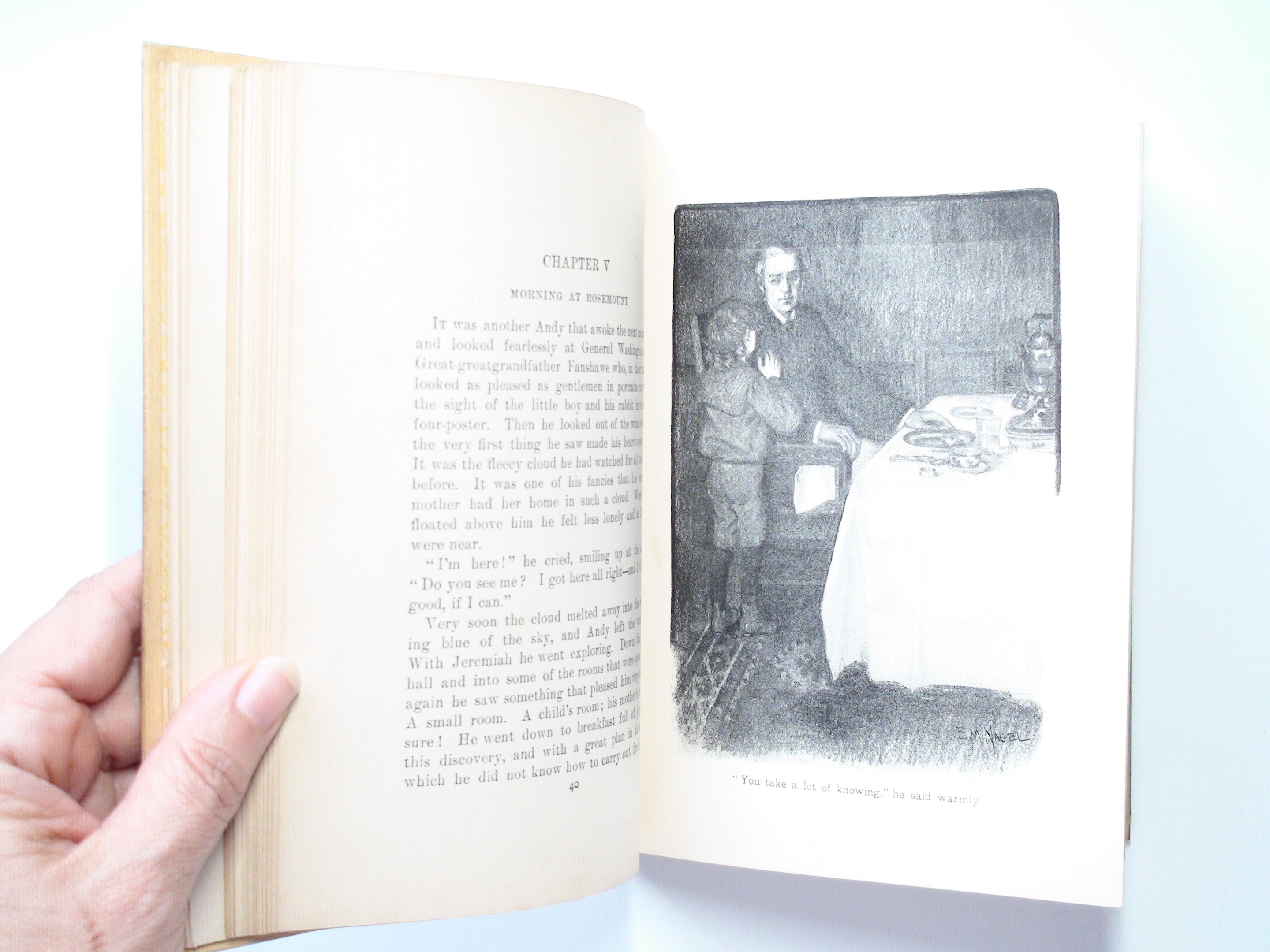 Andy by Lucile Lovell, Illustrated by Eva M. Naget, 1st Ed, 1905