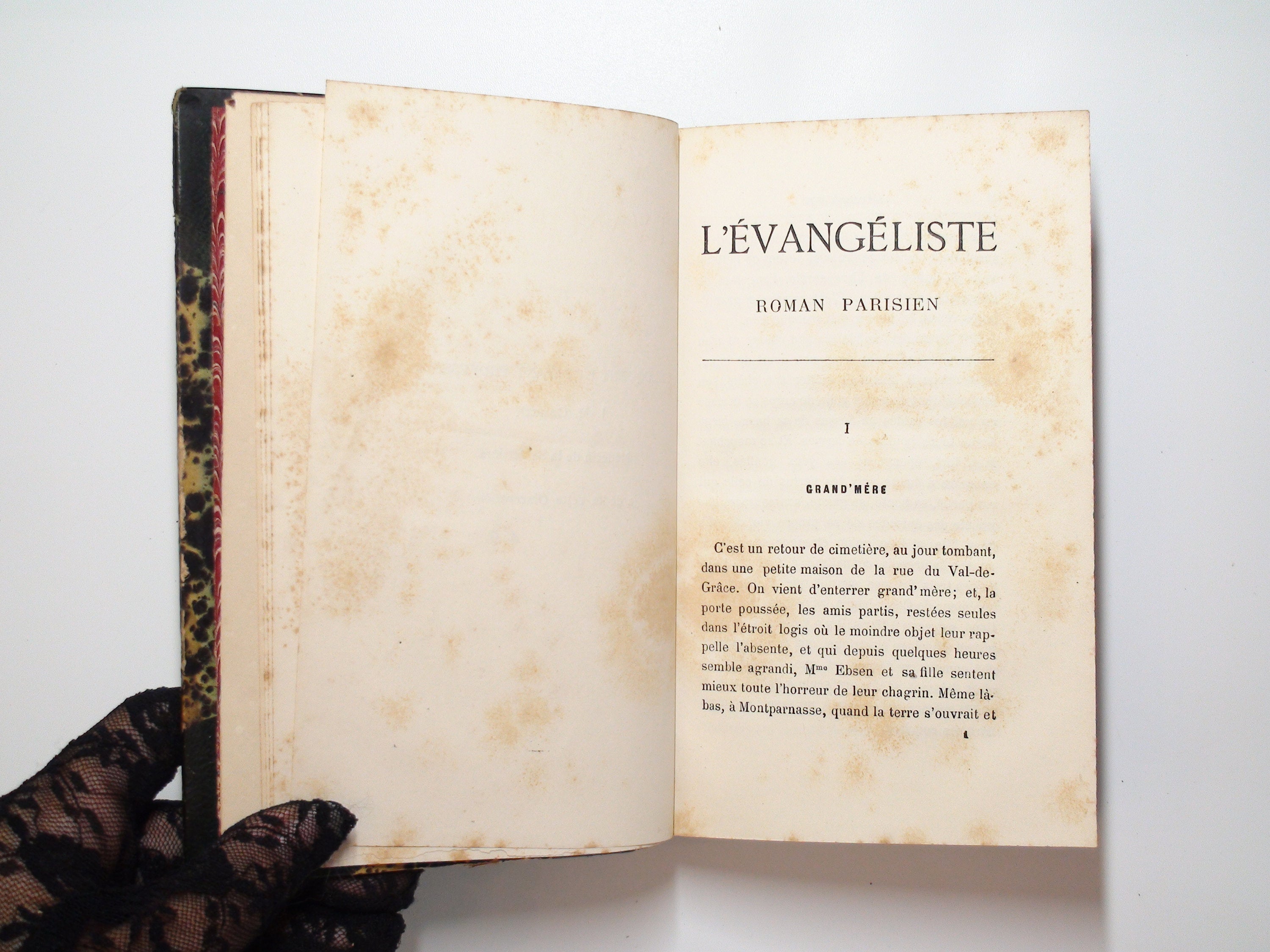 L'Evangéliste, Alphonse Daudet, 21st Ed, French Language Novel, 1883