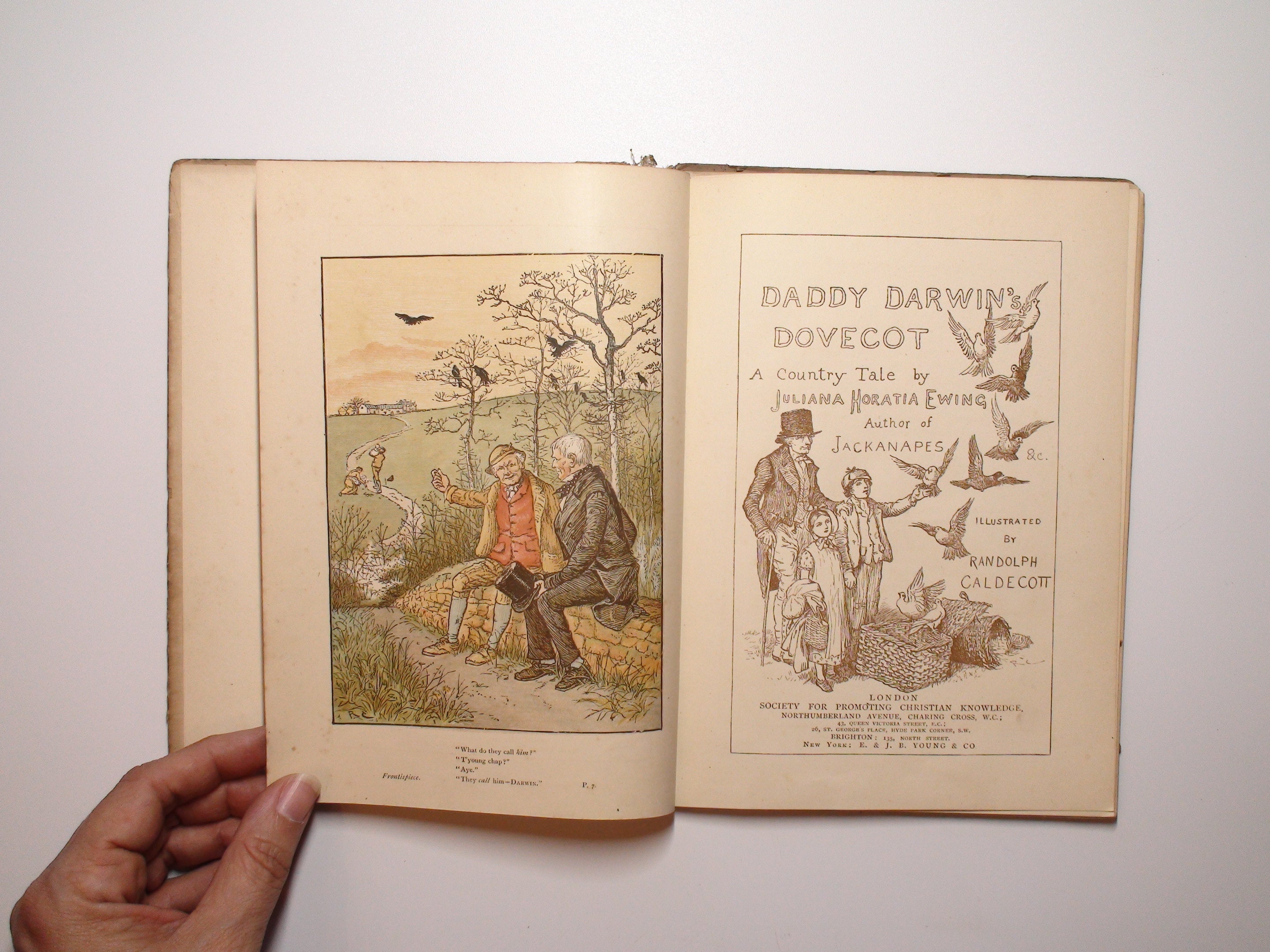 Daddy Darwin's Dovecot, Juliana Horatia Ewing, Illustrated by Caldecott, 1st Ed