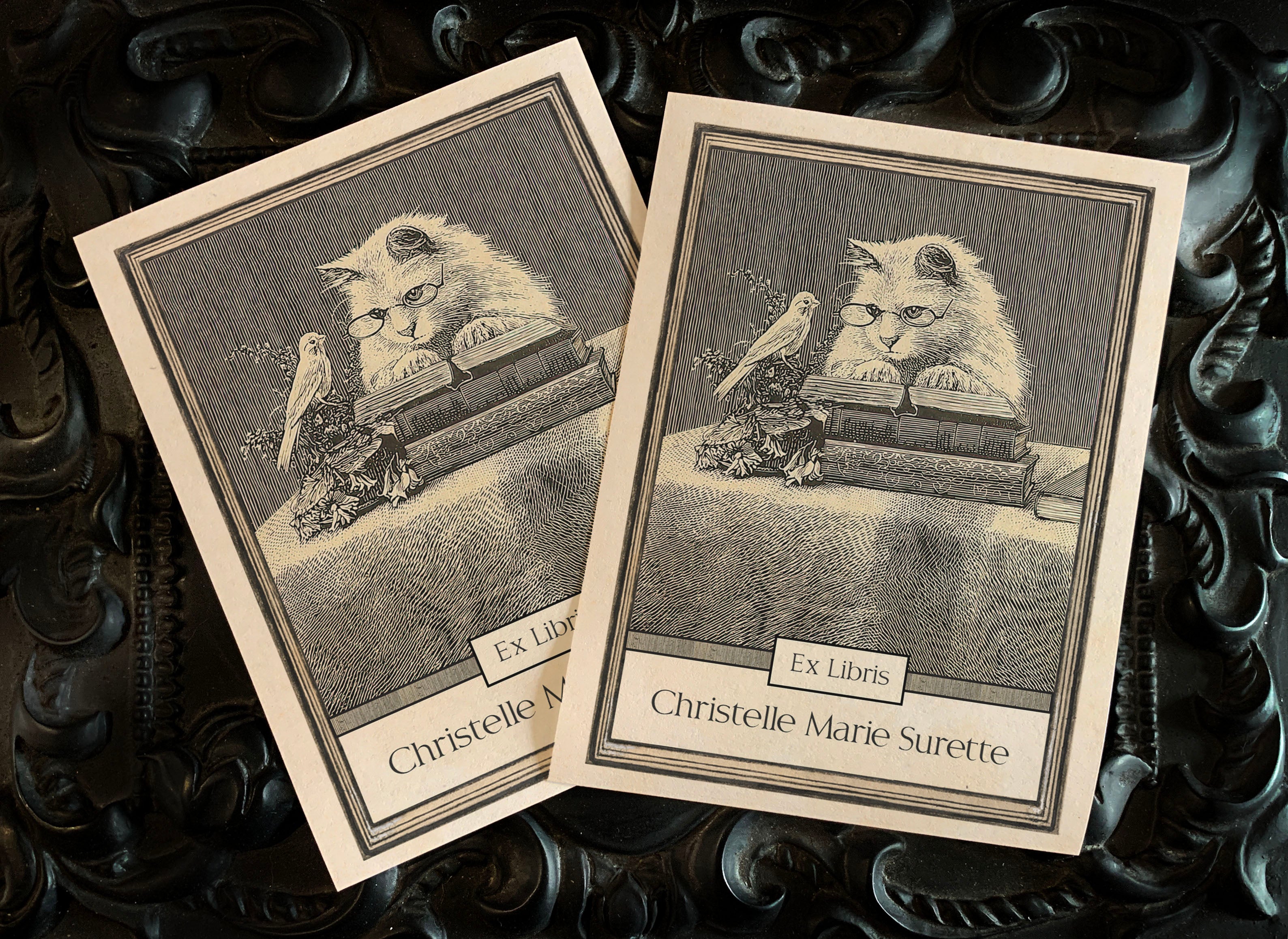 Wise Kitten, Personalized Ex-Libris Bookplates, Crafted on Traditional Gummed Paper, 3in x 4in, Set of 30